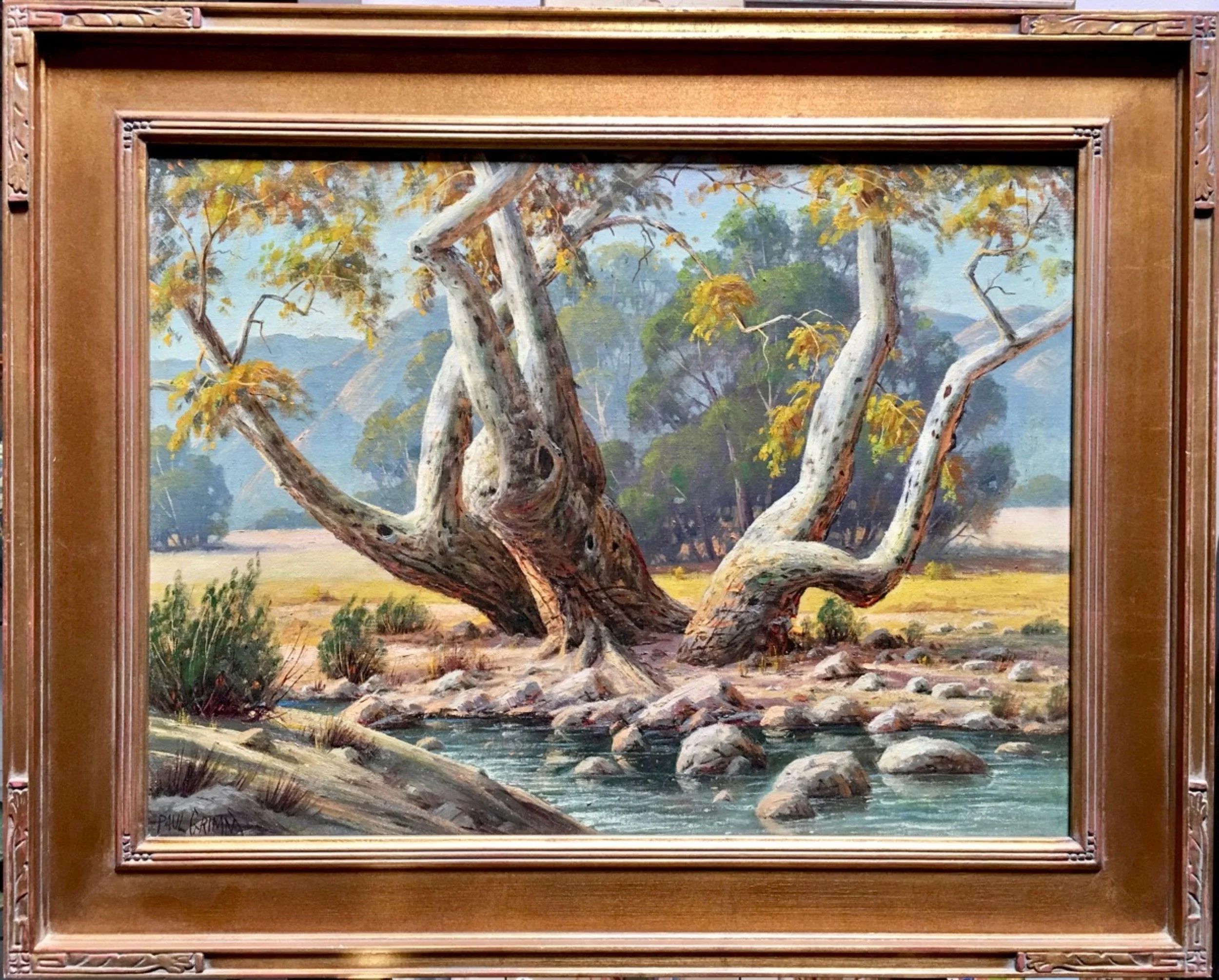 Paul Grimm (American, 1891-1974) "Sycamore Study"