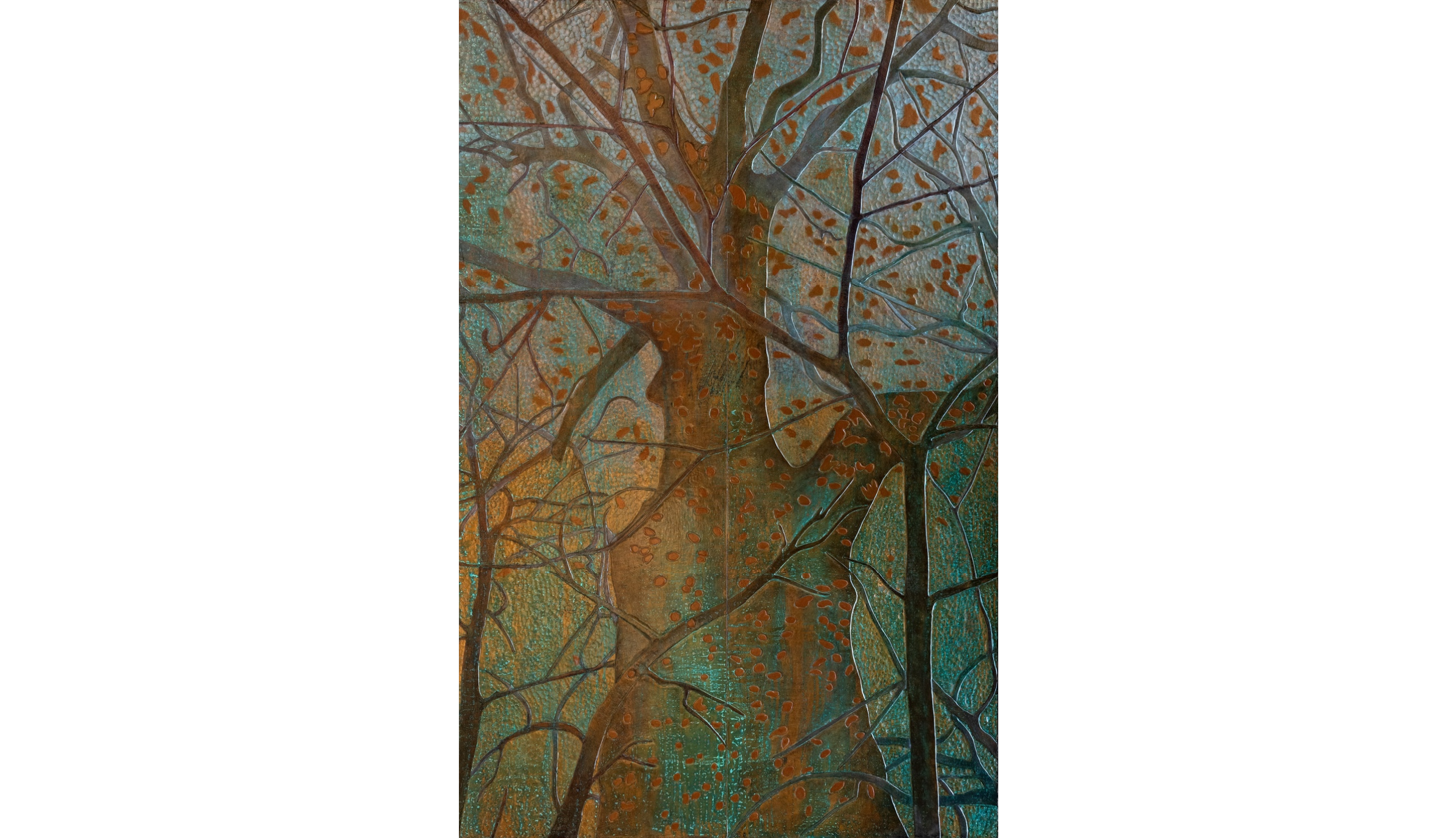 Tom Schulte "Sycamore"