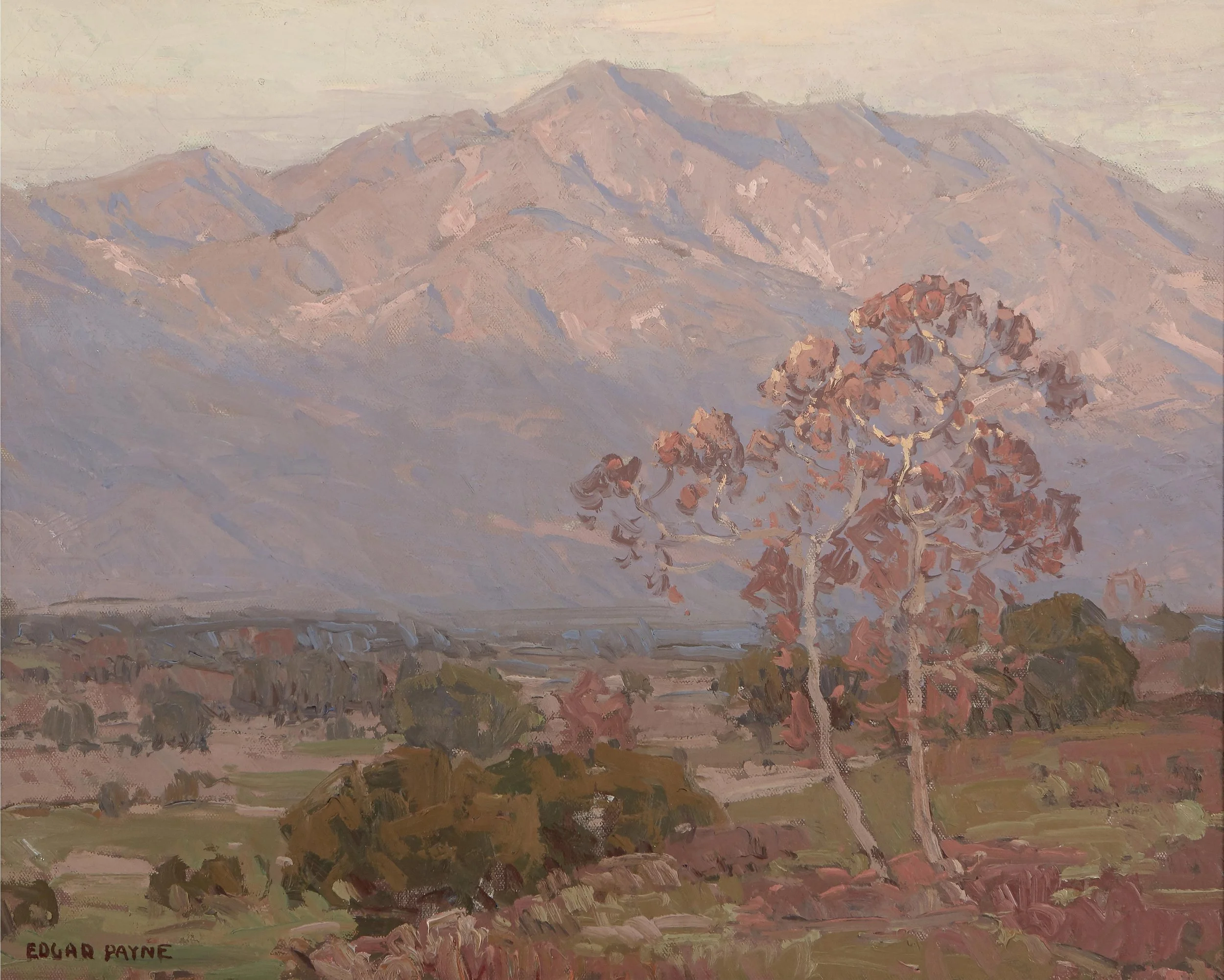 Sycamores in Art: A California Autumn