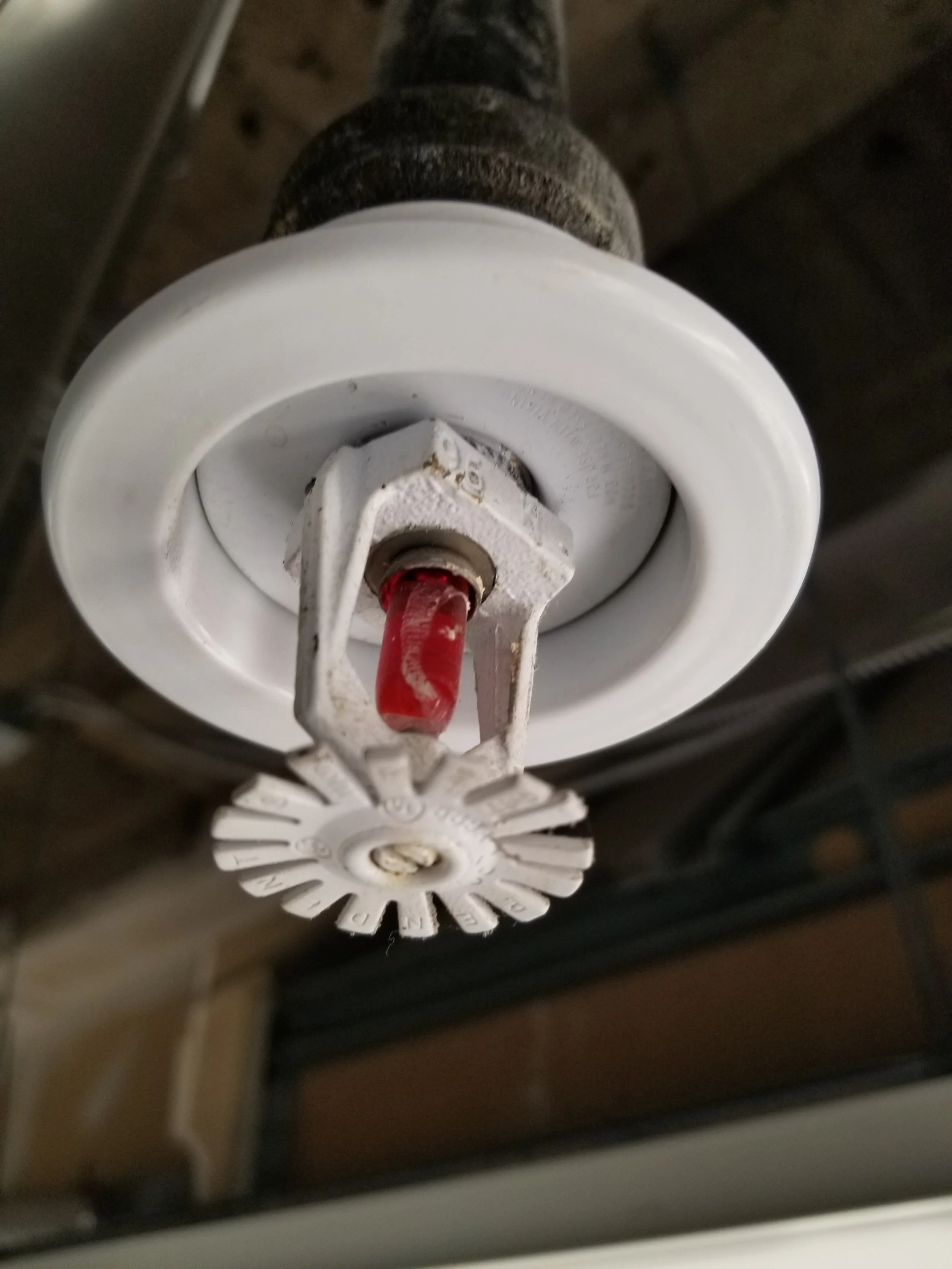 Fire sprinkler head with a white cover and red bulb.