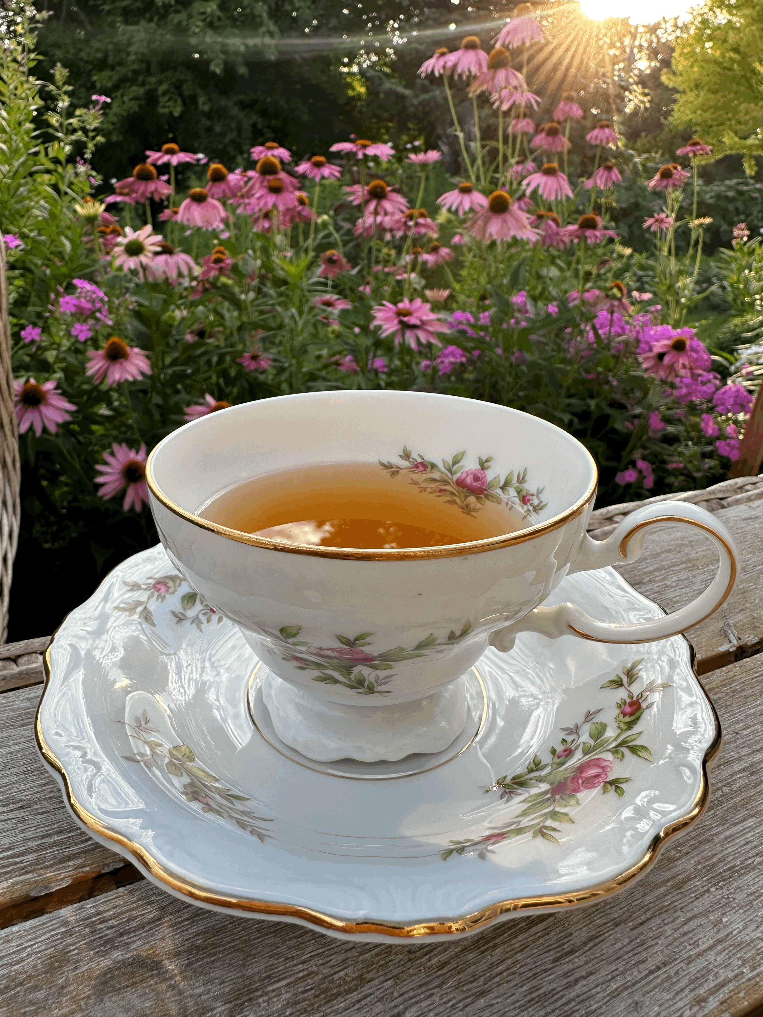 Sip & Sow Tea Garden Workshop