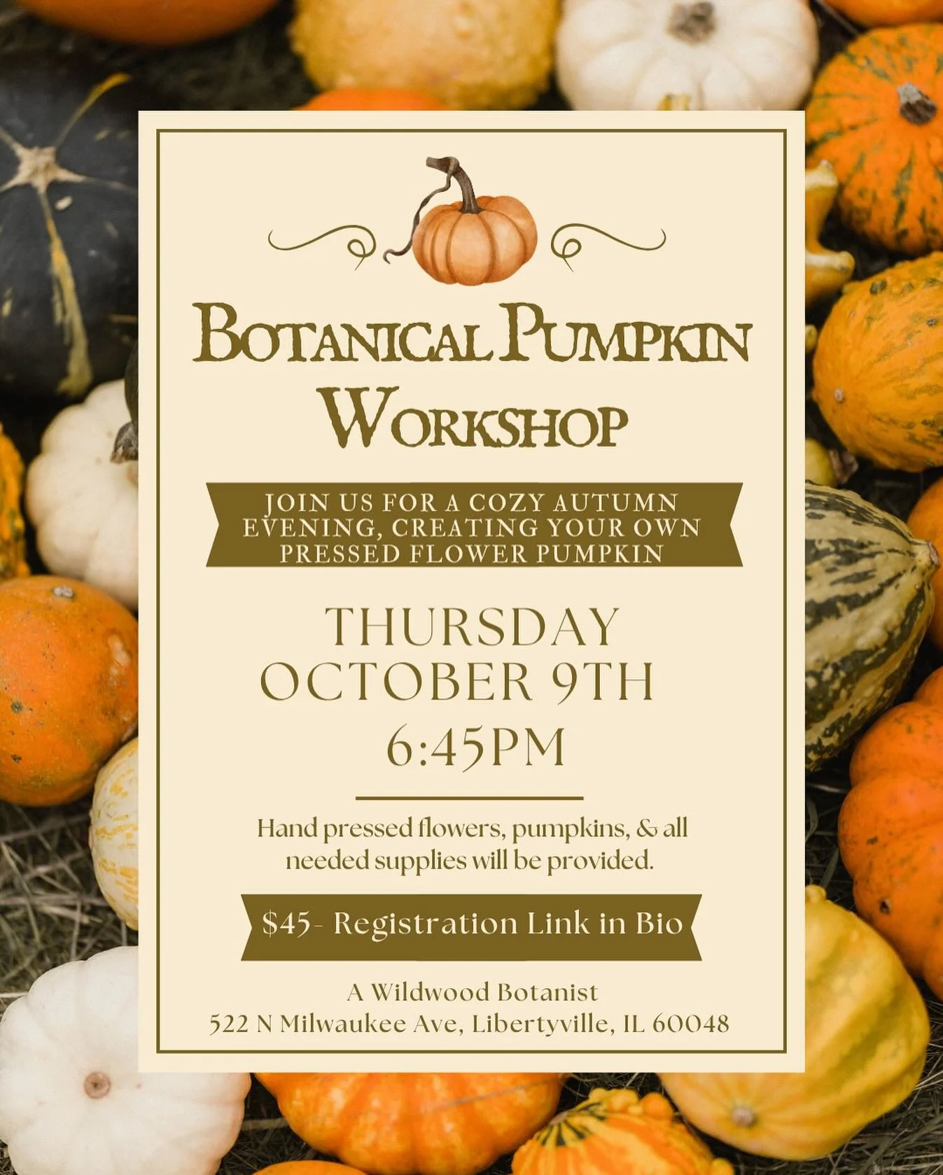 Join us for a cozy autumn evening creating your very own pressed flower pumpkin on Thursday October 9th at 6.45pm. Very excited to share this autumn craft, perfect addition to your fall decor! Limited tickets available so reserve your spot soon! Link
