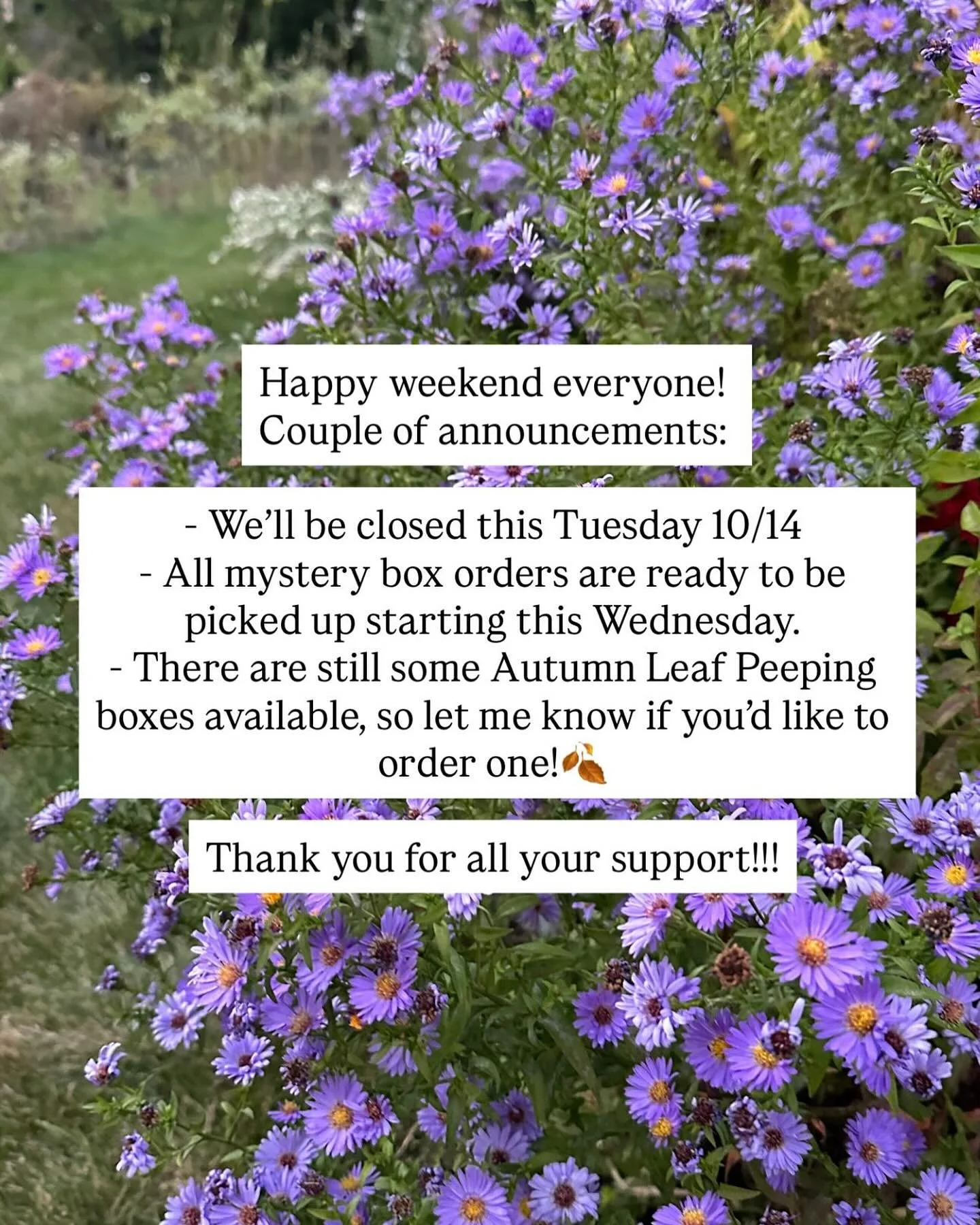 Happy weekend everyone! 
Couple of announcements:

- We&rsquo;ll be closed this Tuesday 10/14
- All mystery box orders are ready to be picked up starting this Wednesday. 
- There are still some Autumn Leaf Peeping boxes available, so let me know if y