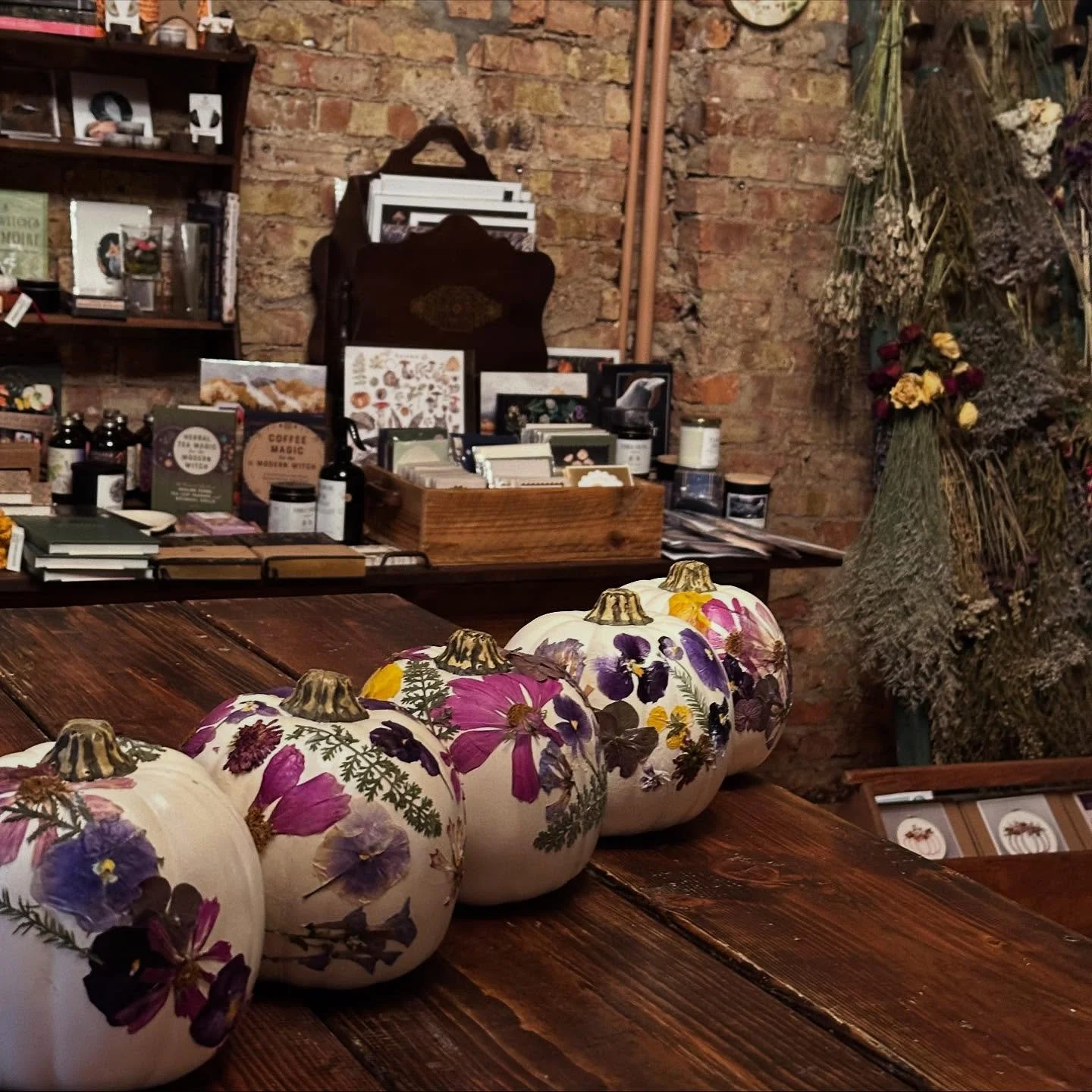 October has been a beautiful autumnal whirlwind so I&rsquo;m very behind on updating you all on here! Here are some lovely moments from two recent pressed flower pumpkin classes. Such a joy to spend cozy evenings filled with creativity and community.