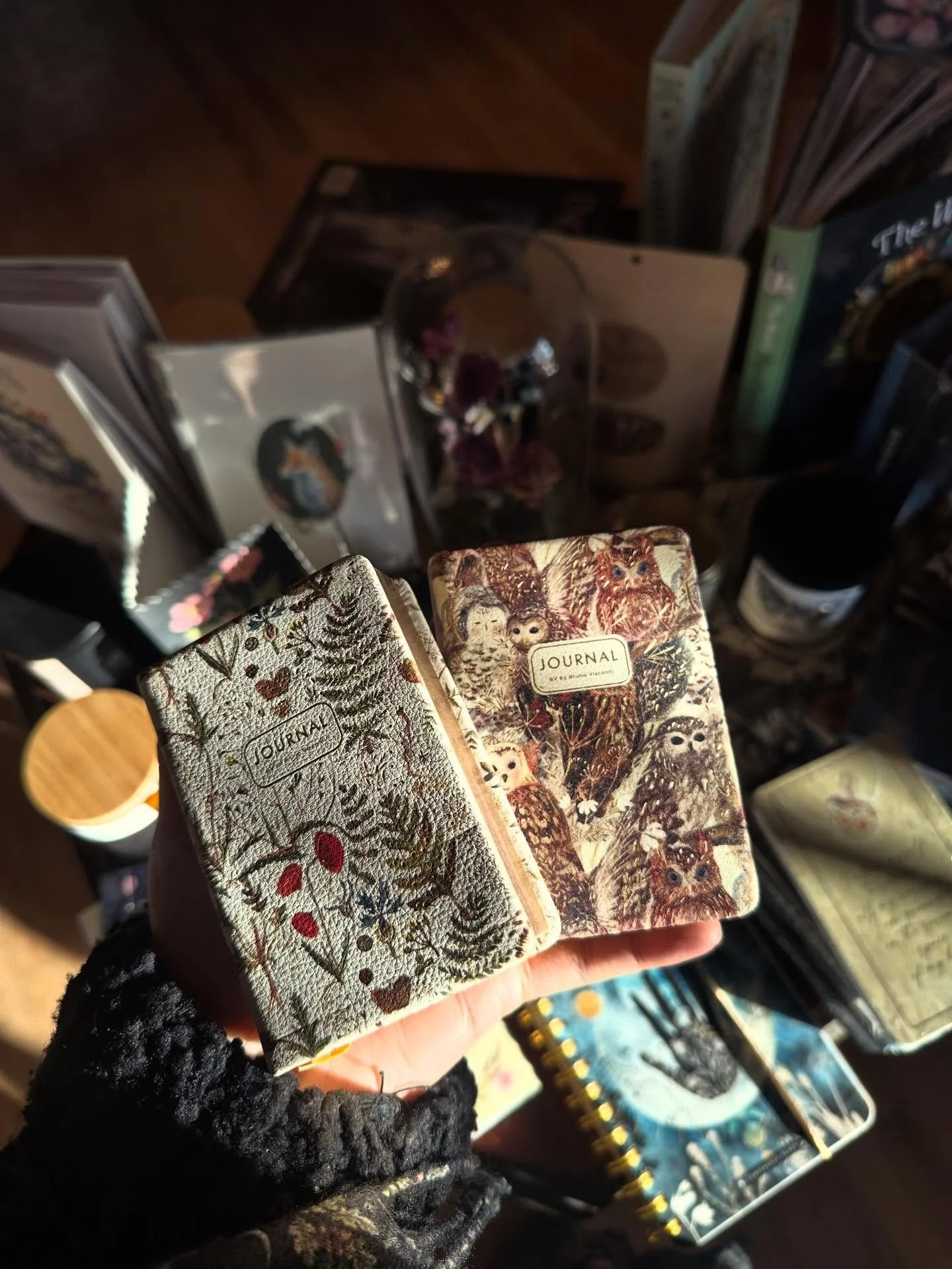 A few Wildwood treasures ✨