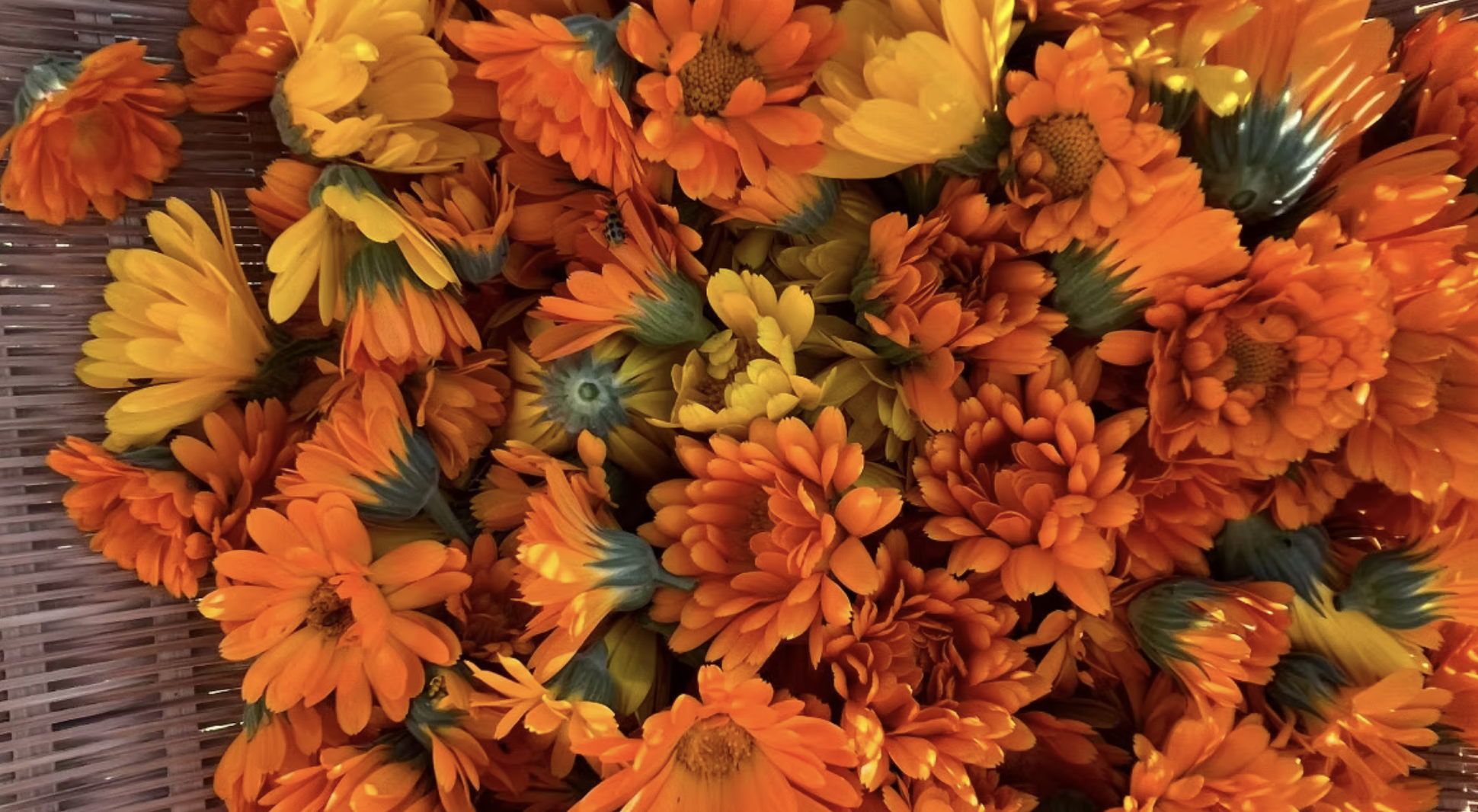 Herbal Self Care Rituals