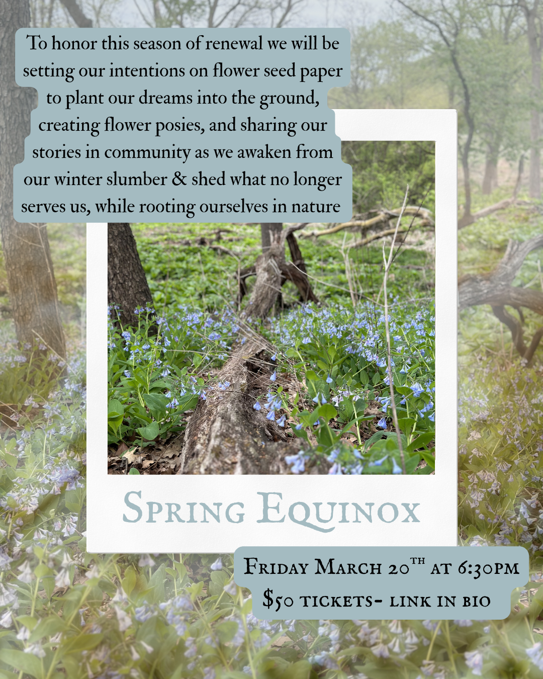 Spring Equinox Gathering 