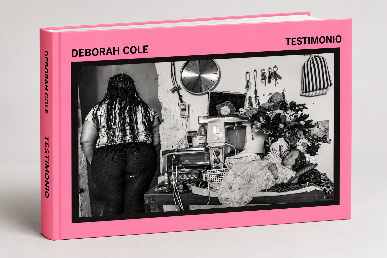 Deborah Cole_ Testimonio Book Mockup.png