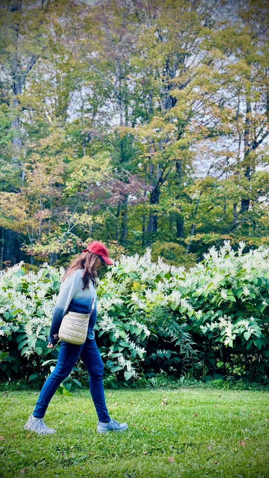 AI, Presence, and the End of Life