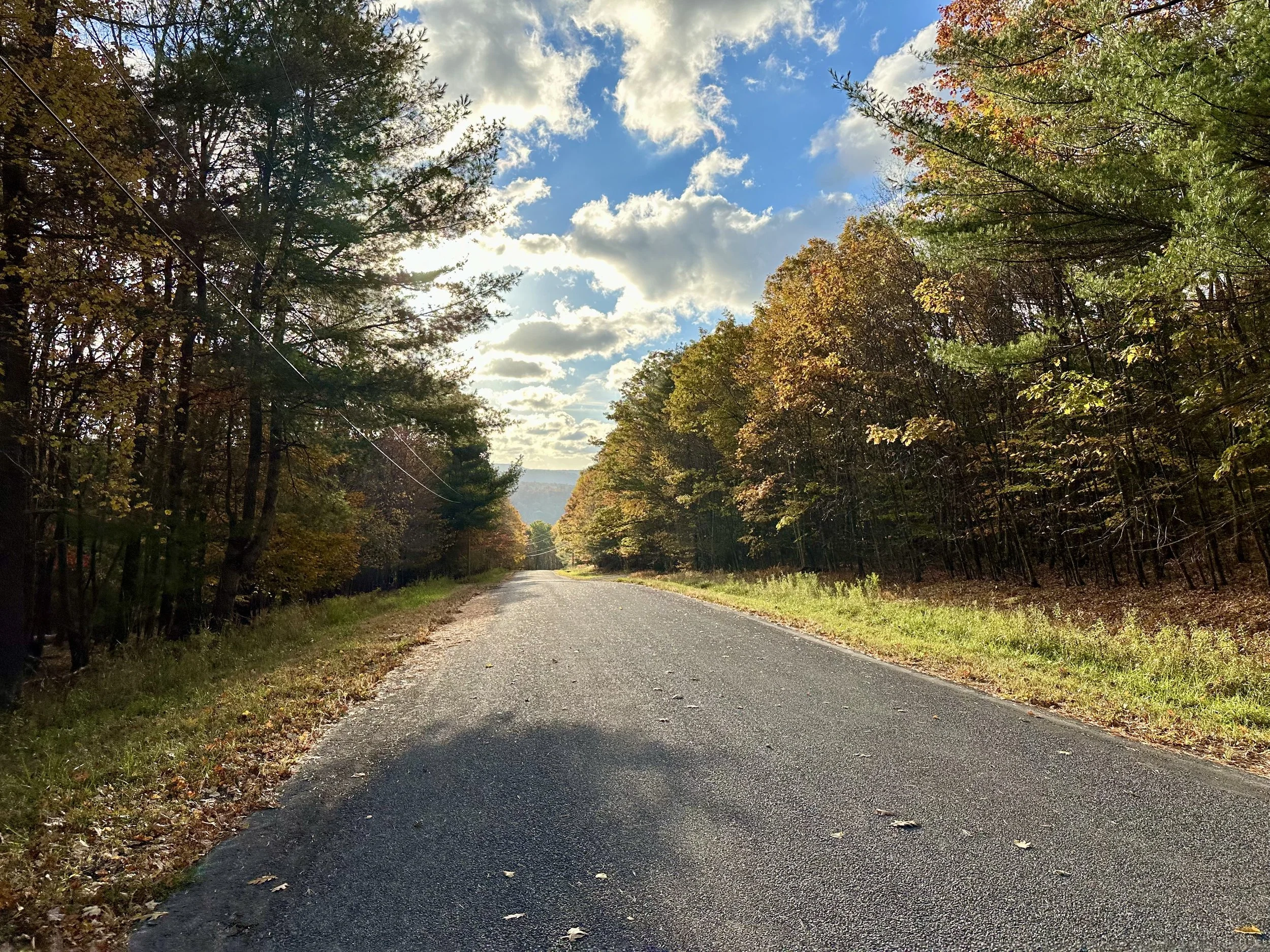 A gravel road in a forest with trees on both sides showing signs of autumn with some leaves on the ground. The sky is partly cloudy with patches of blue and sunlight filtering through the clouds.