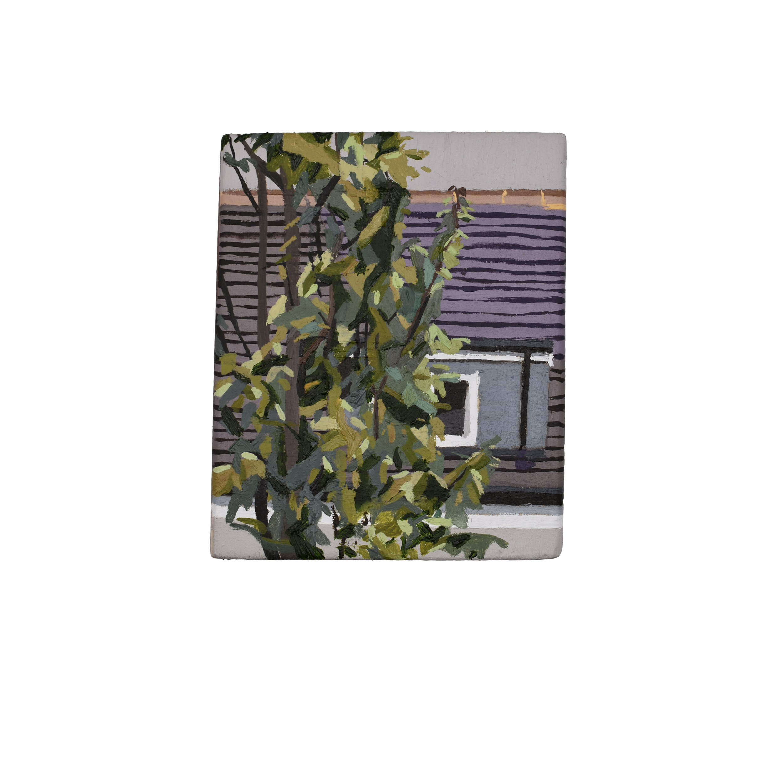 Watching the Neighbours - A6 Postcard