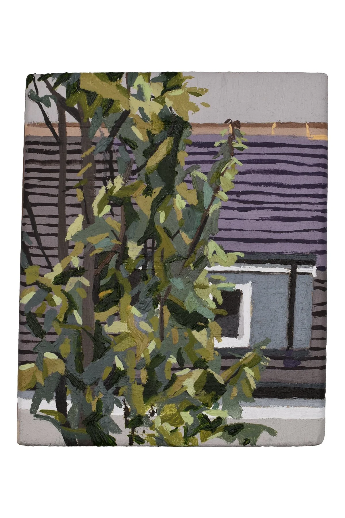 Watching The Neighbours.jpg