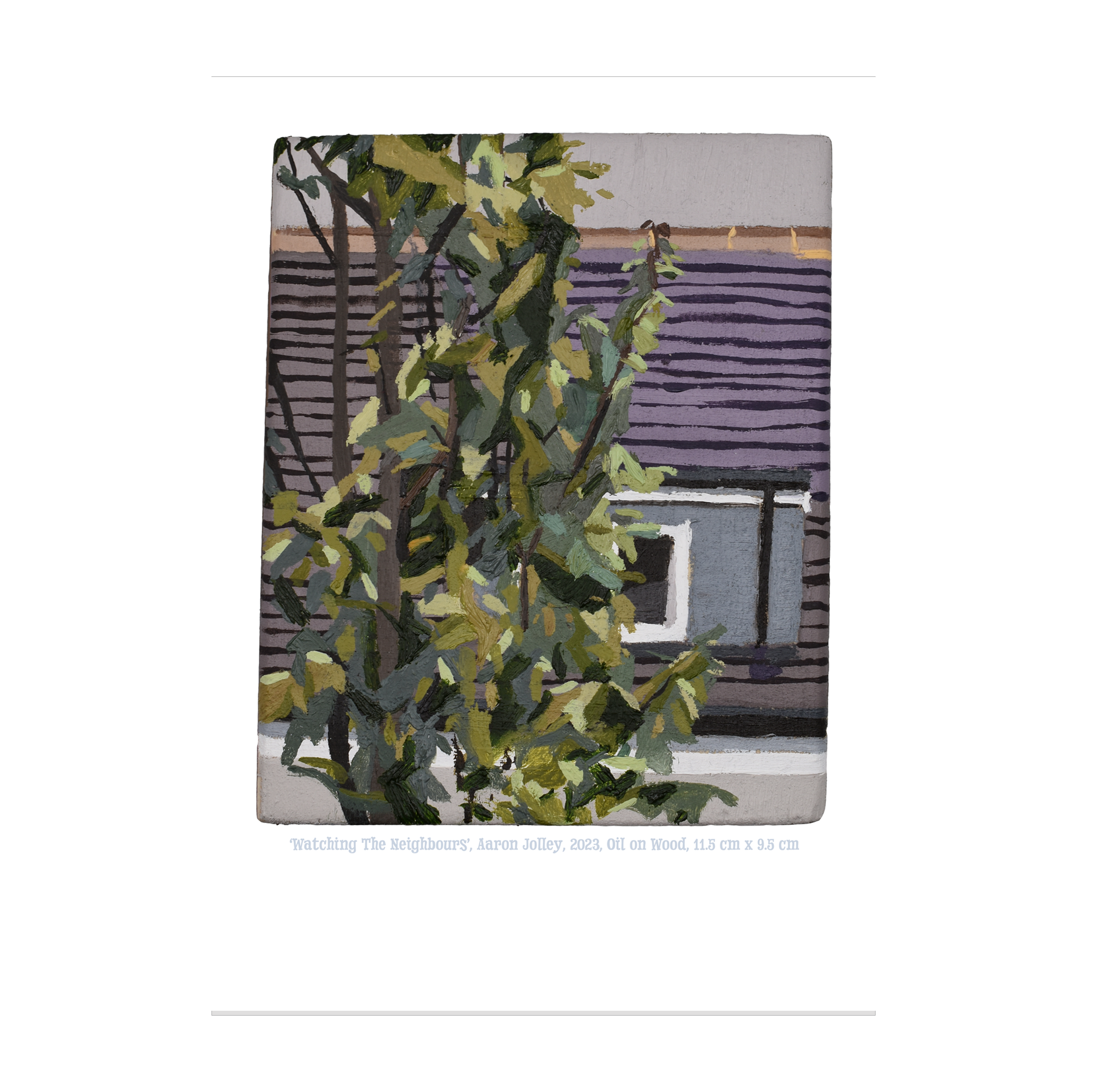 Watching the Neighbours - A4 Print