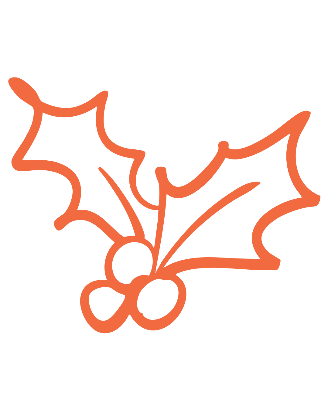 Outline drawing of holly leaves and berries in orange color.