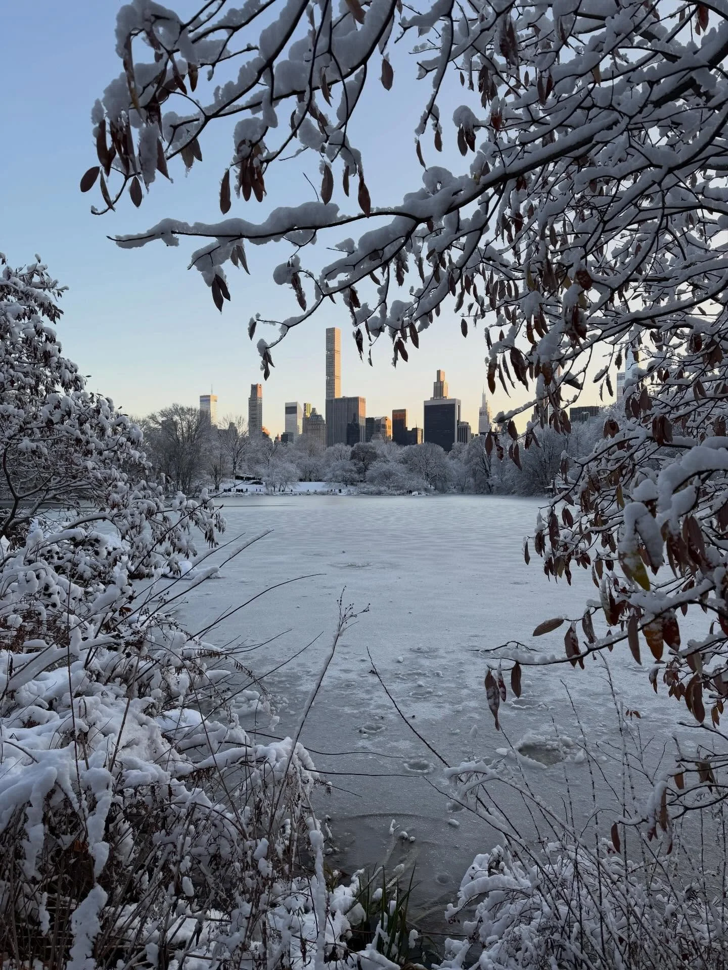 ❄️ nyc magic ❄️

down bad with a cold but forced myself out of bed yesterday to partake in my all-time favorite activity: strolling through nature and taking photos of everything that inspires me ✨ it doesn&rsquo;t get much better than a snowy Centra