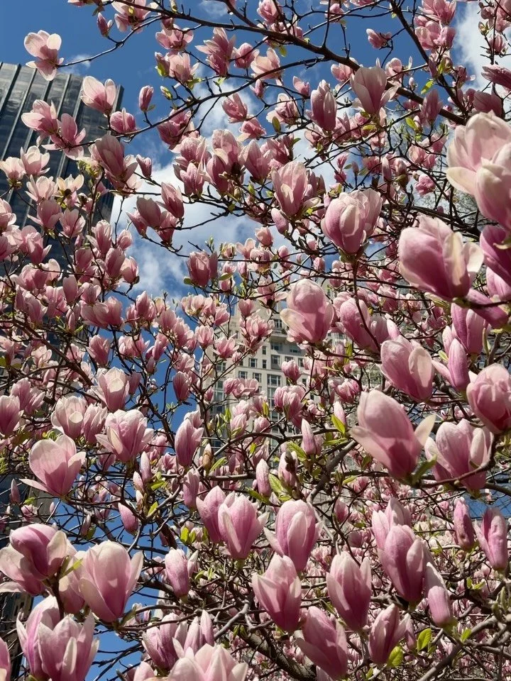 favorite season 🌸 favorite place 🌿