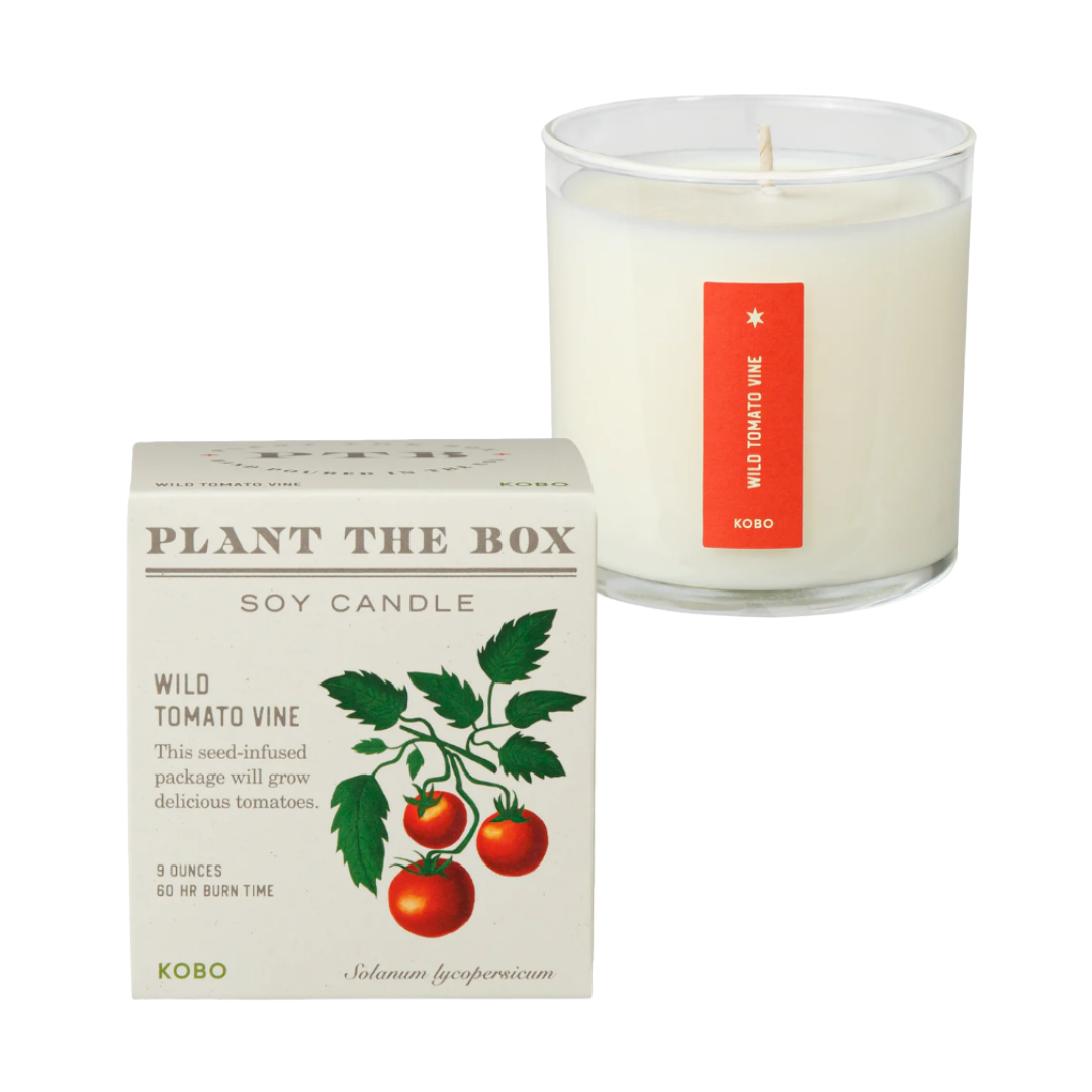 A white soy candle in a glass container with a red label saying 'Wild Tomato Vine' next to a box of Plant The Box soy candle with an illustration of tomato plants, and a white candle with a wick inside the glass container.