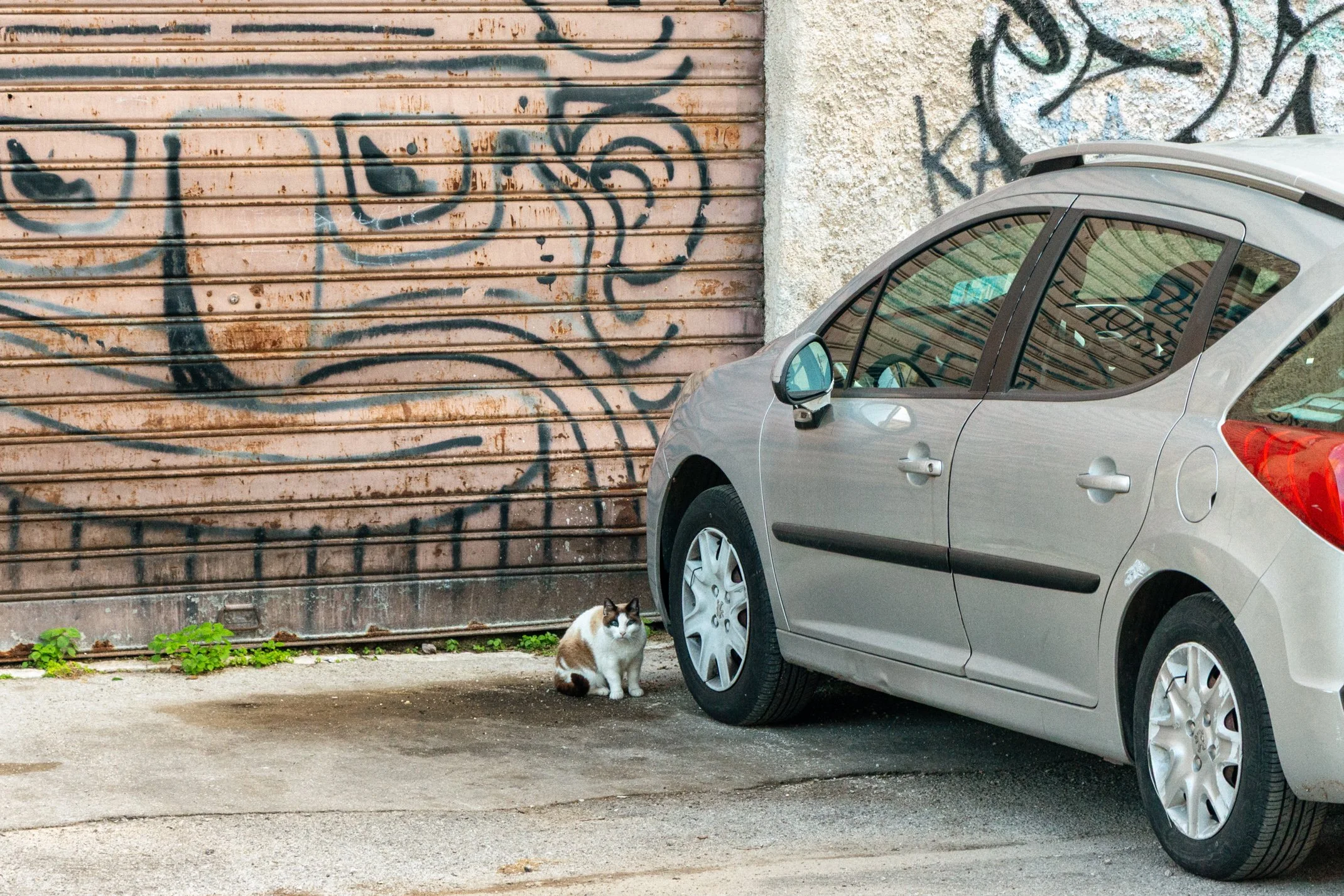 Italy 2026 WEB (040 of 311).jpg