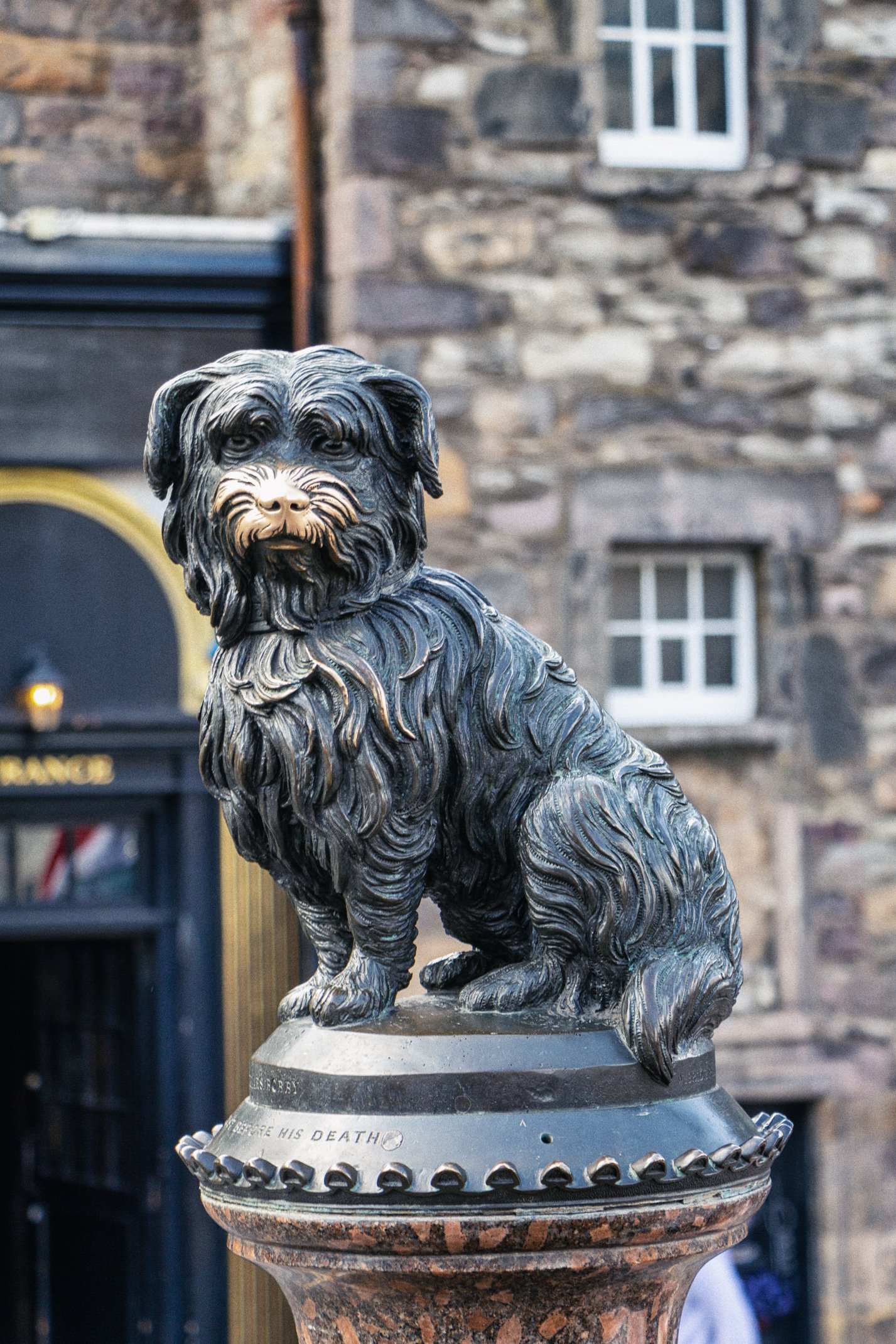 A bronze statue of a dog with long hair, sitting on a pedestal in front of a stone building.