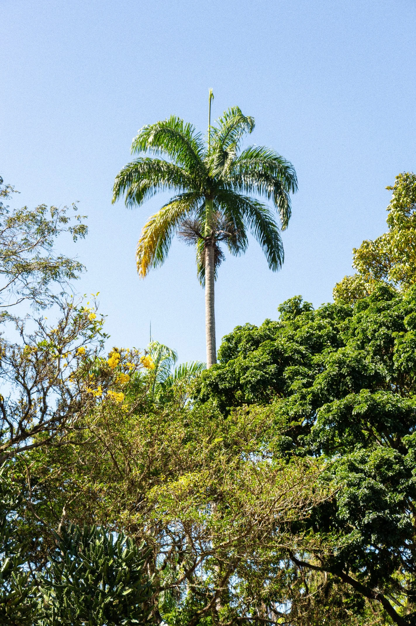 Brazil 2026 Edited WEB (082 of 125).jpg