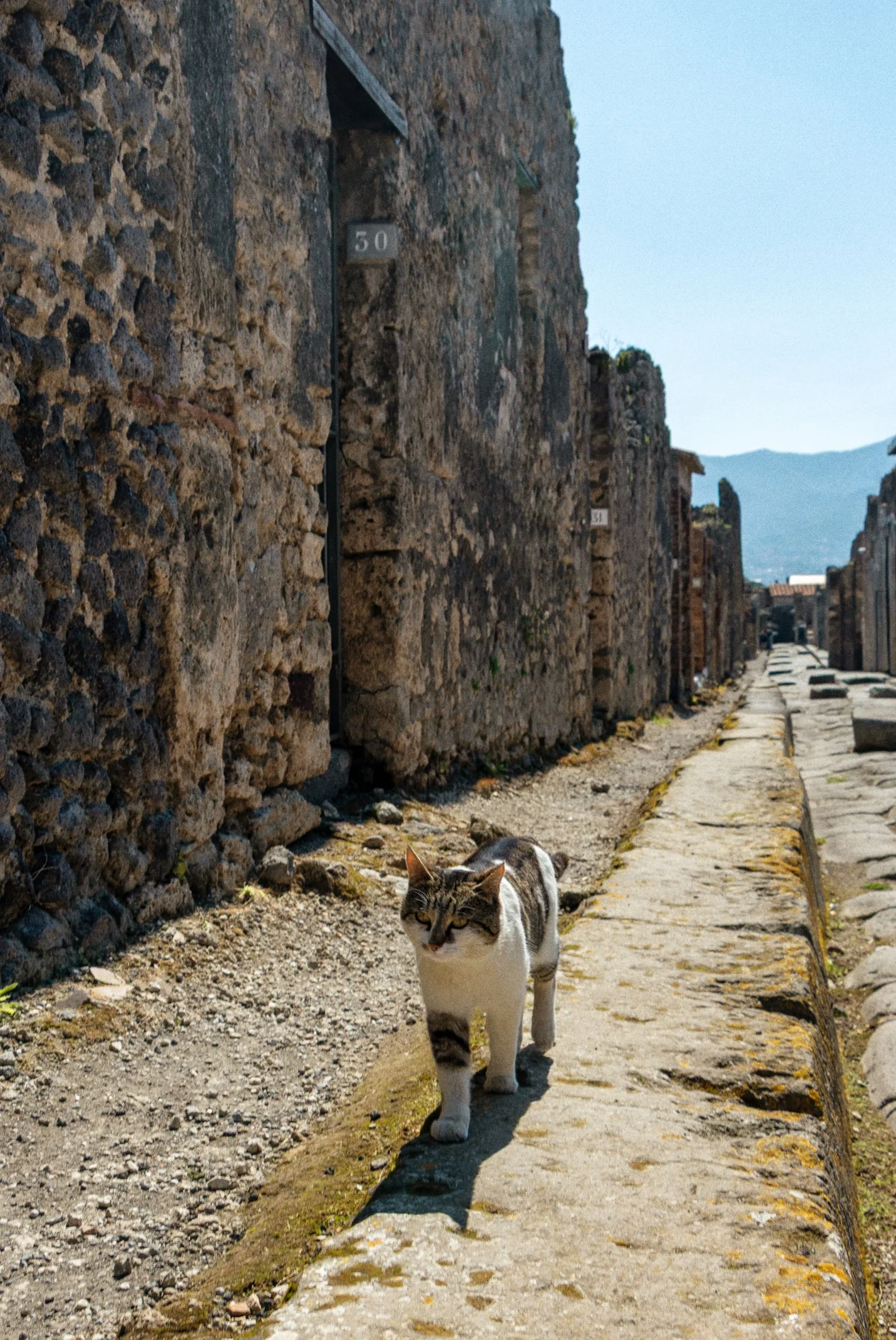 Italy 2026 WEB (129 of 311).jpg