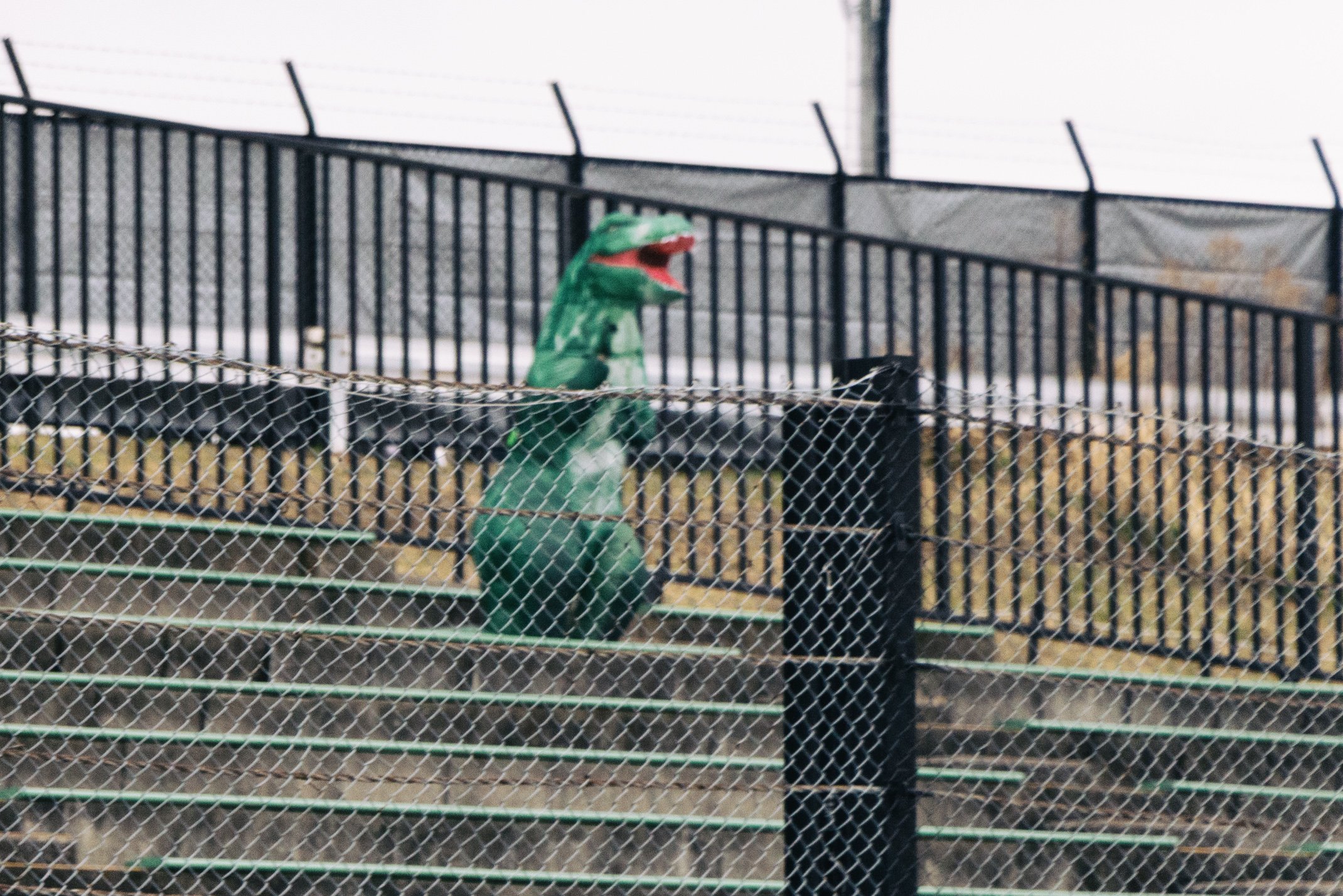 A green dinosaur with a red mouth behind a chain-link fence on a set of outdoor stadium bleachers.