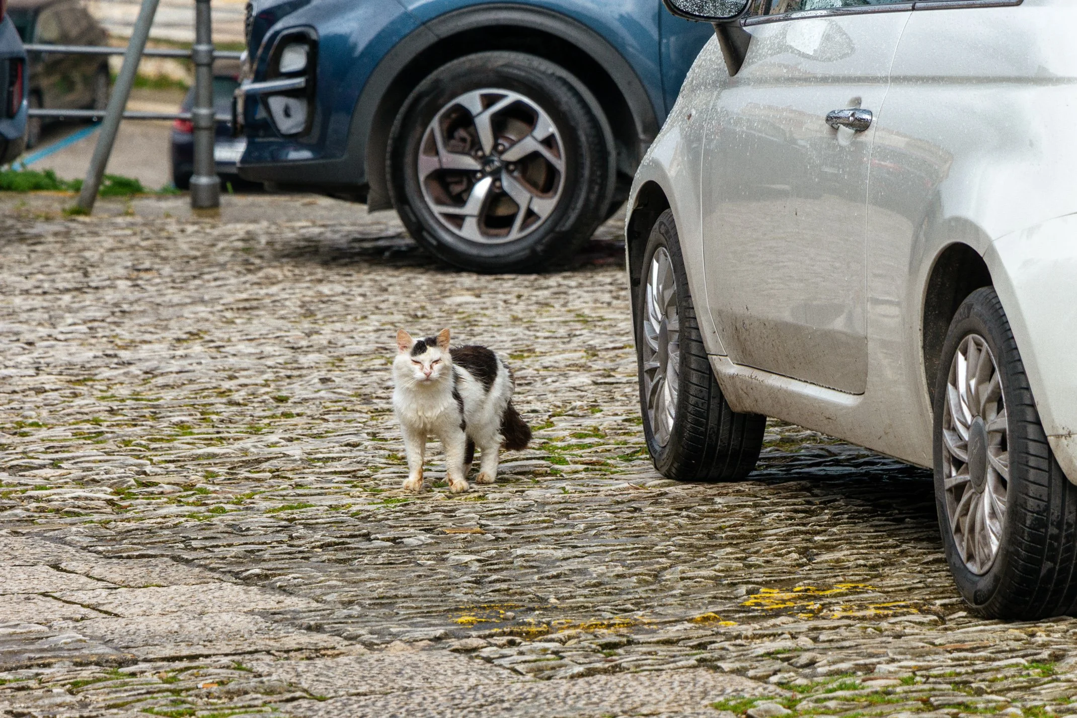 Italy 2026 WEB (070 of 311).jpg