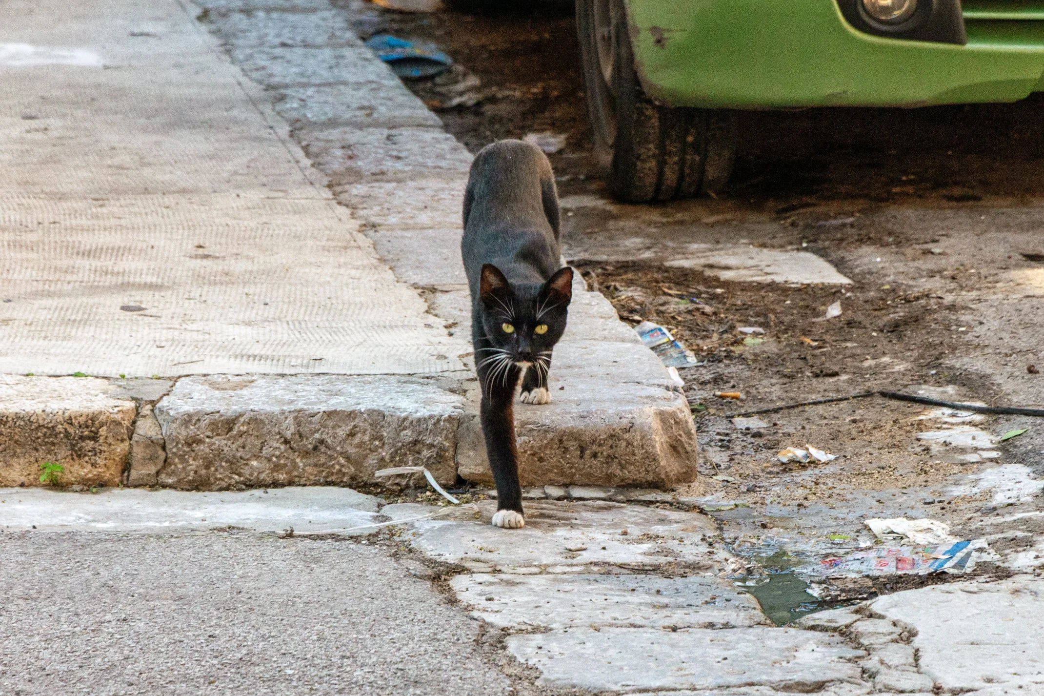 Italy 2026 WEB (088 of 311).jpg