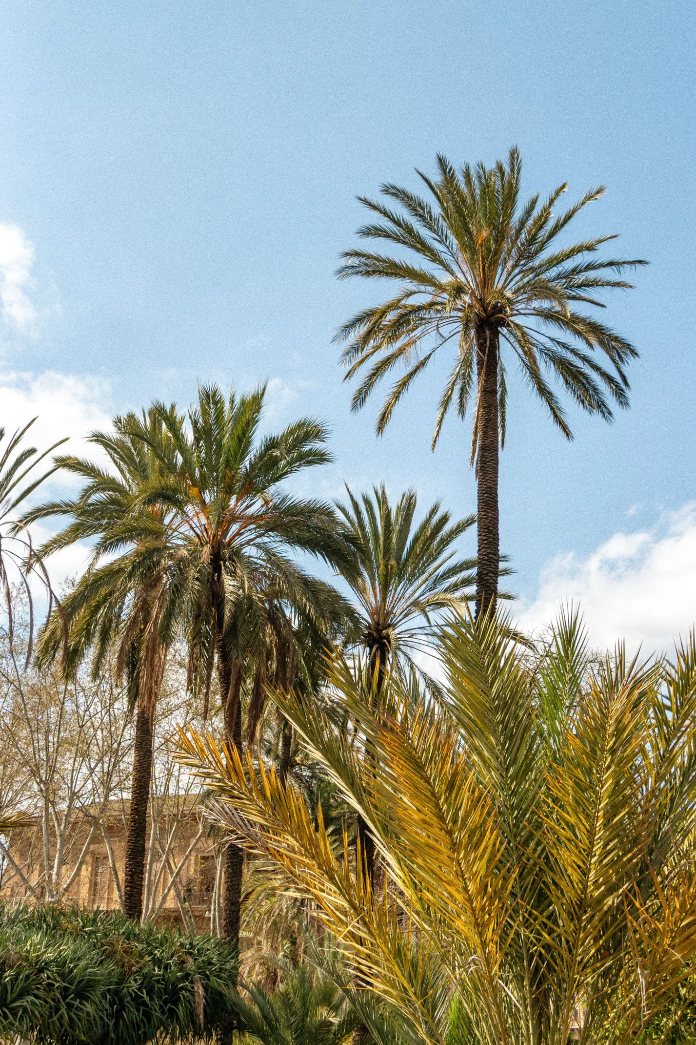 Italy 2026 WEB (029 of 311).jpg