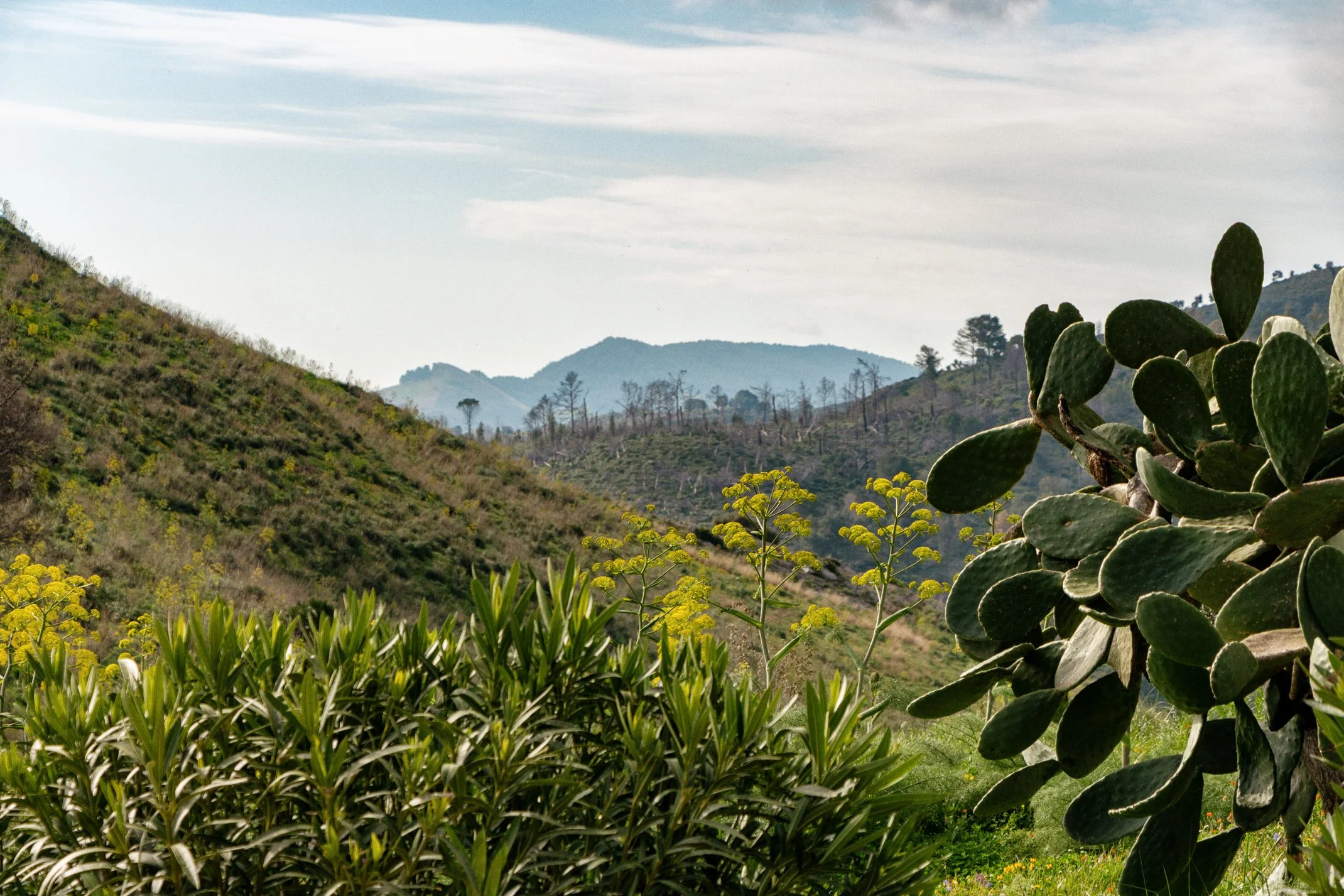 Italy 2026 WEB (045 of 311).jpg