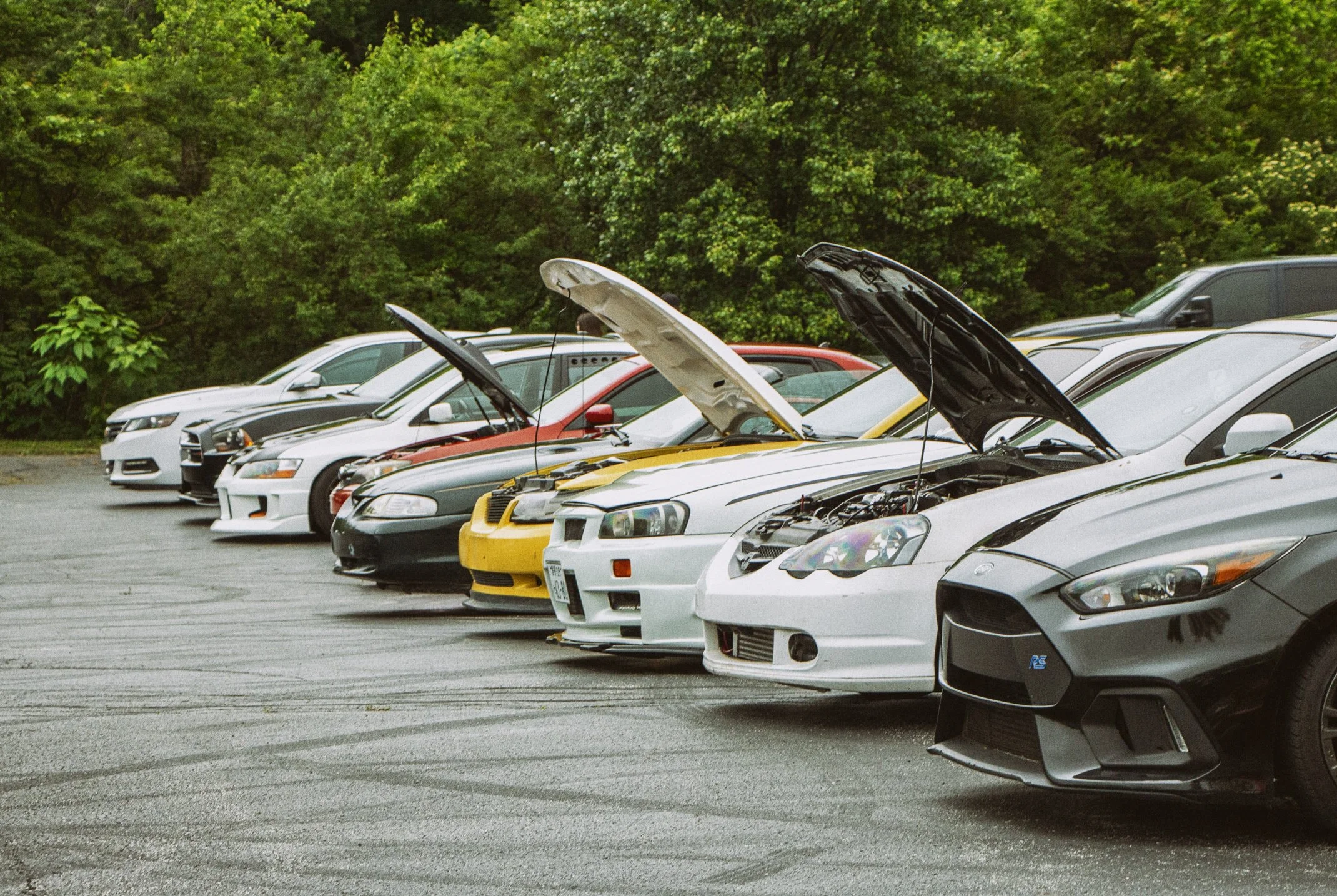 A row of parked cars with some hoods open, set against green trees in the background.