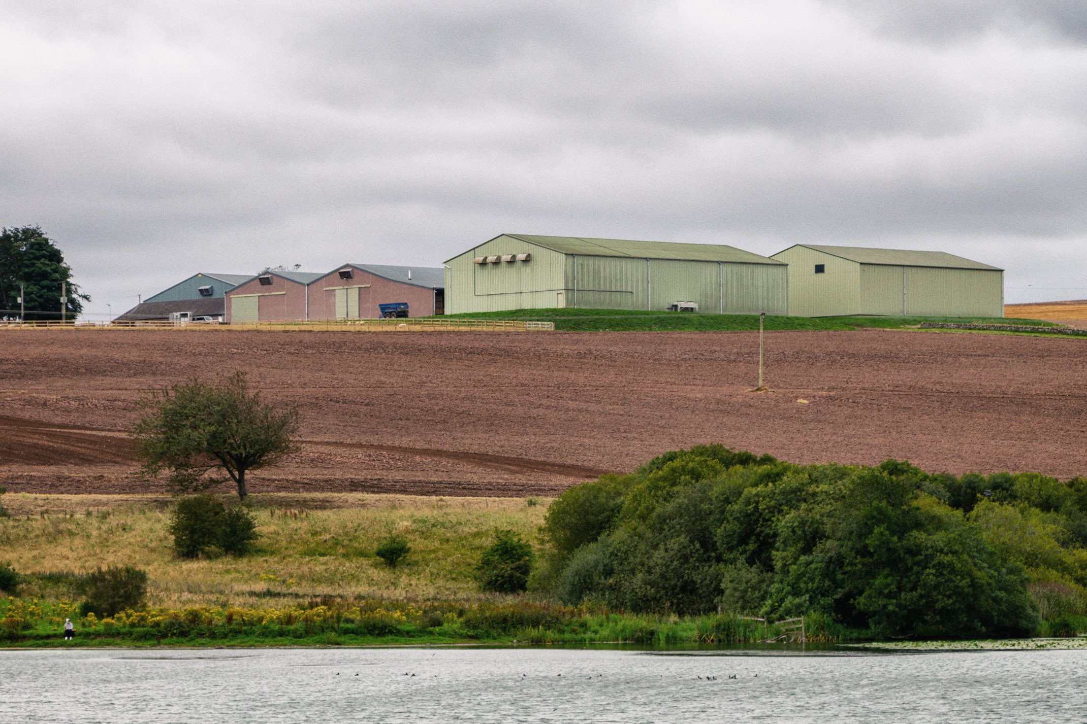 Farmland with a large pond in the foreground, green trees, a brown cultivated field, and a row of large green and brown farm buildings under a cloudy sky.