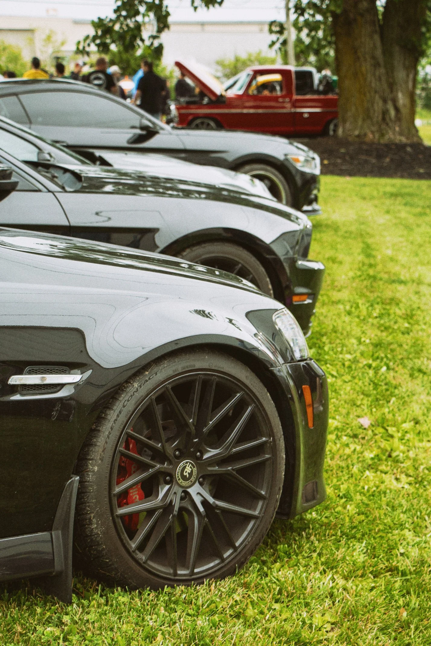 Close-up of a row of black sports cars parked on grass at an outdoor event, with people and a red pickup truck with its hood open visible in the background.