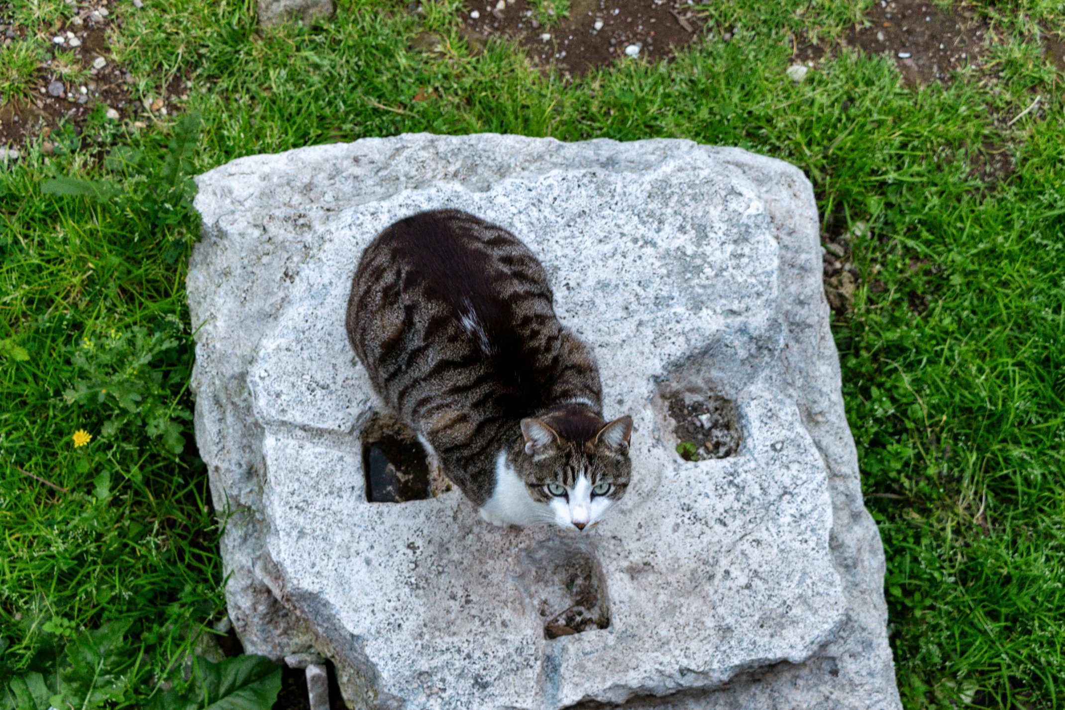 Italy 2026 WEB (188 of 311).jpg