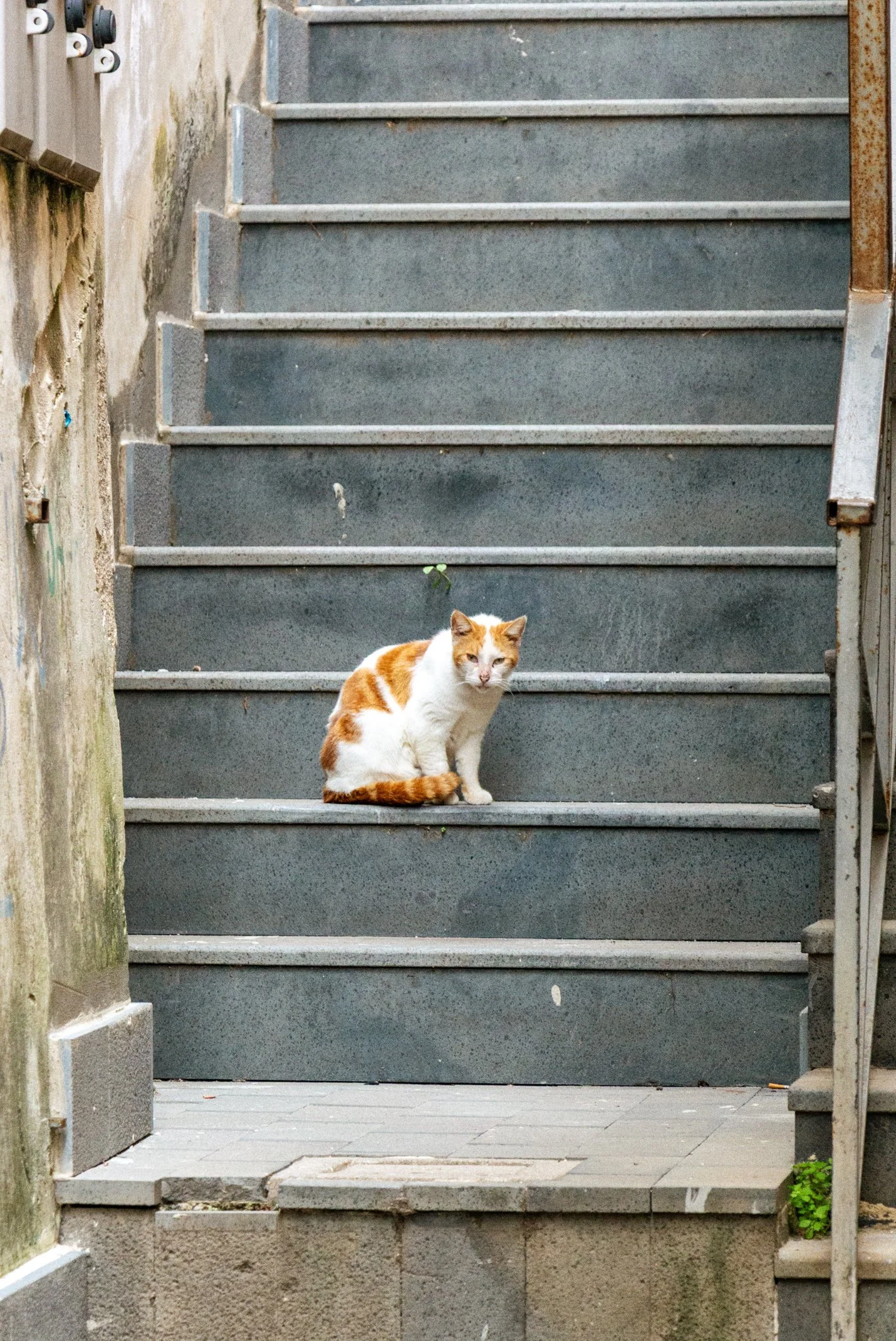 Italy 2026 WEB (157 of 311).jpg