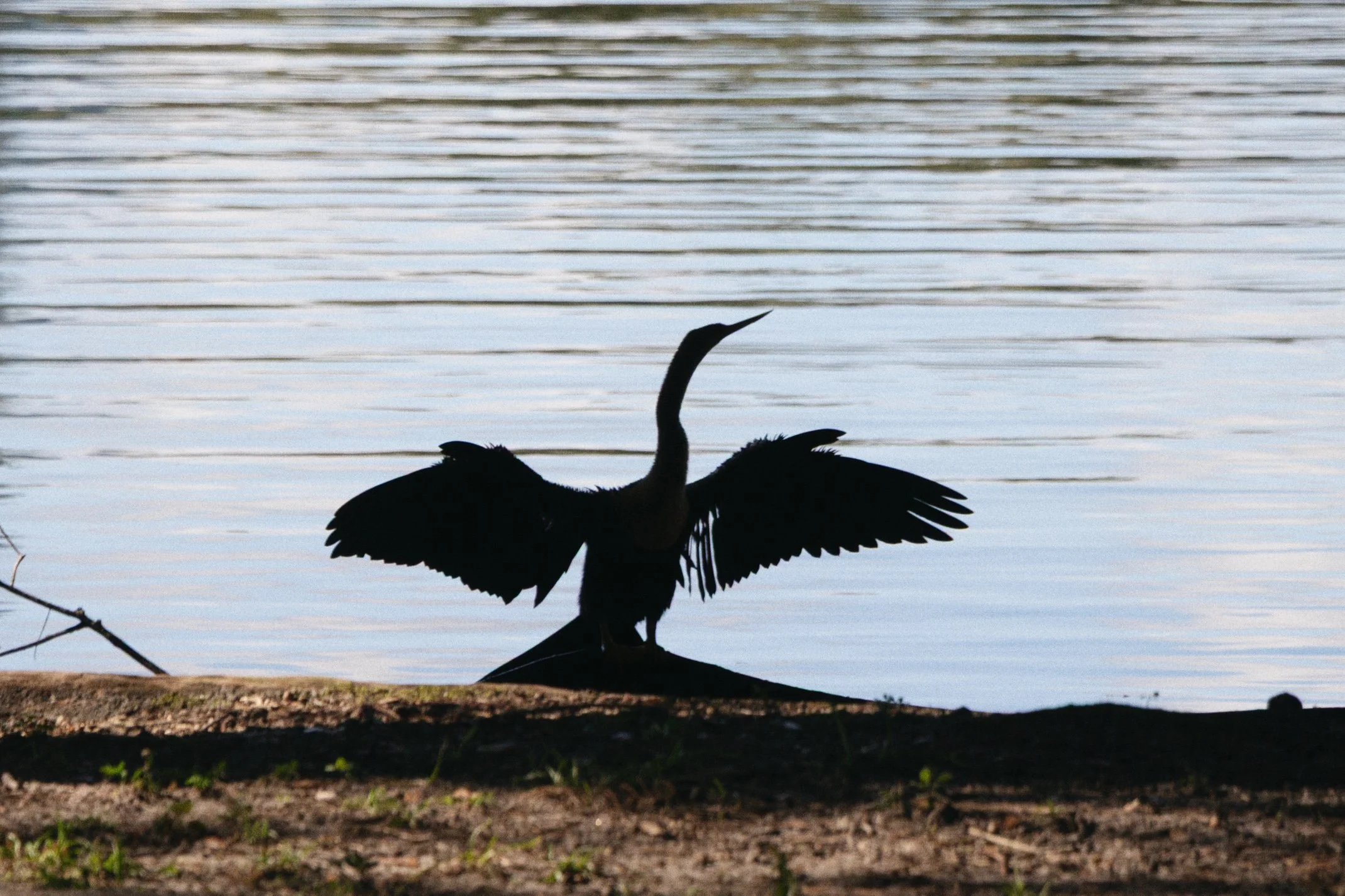 Orlando 2025 Edited WEB (002 of 013).jpg