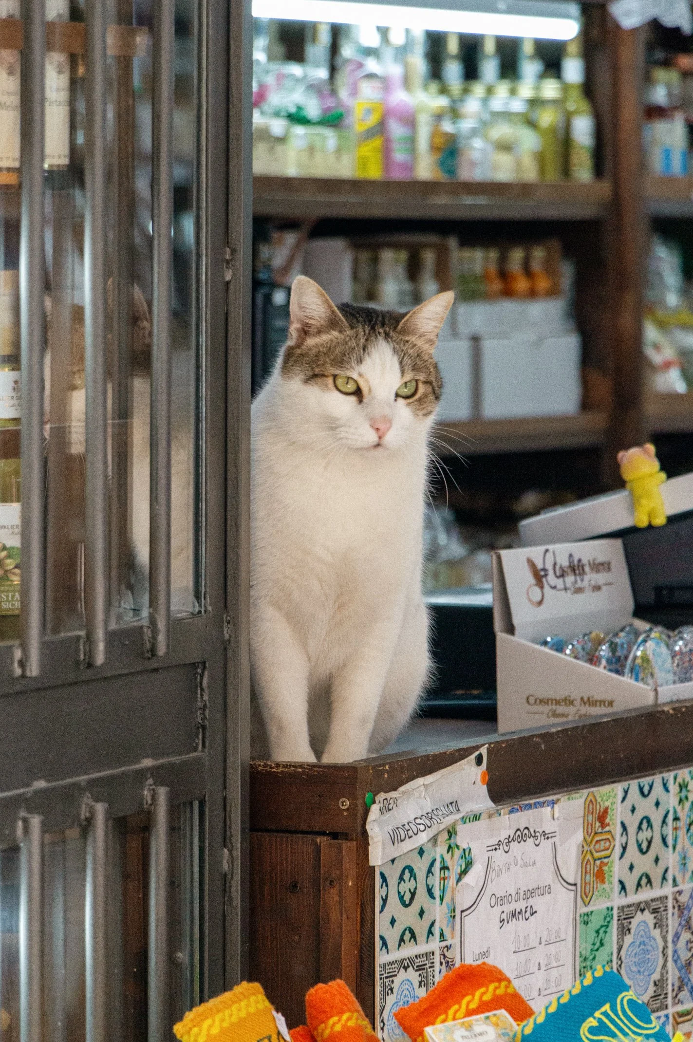 Italy 2026 WEB (023 of 311).jpg