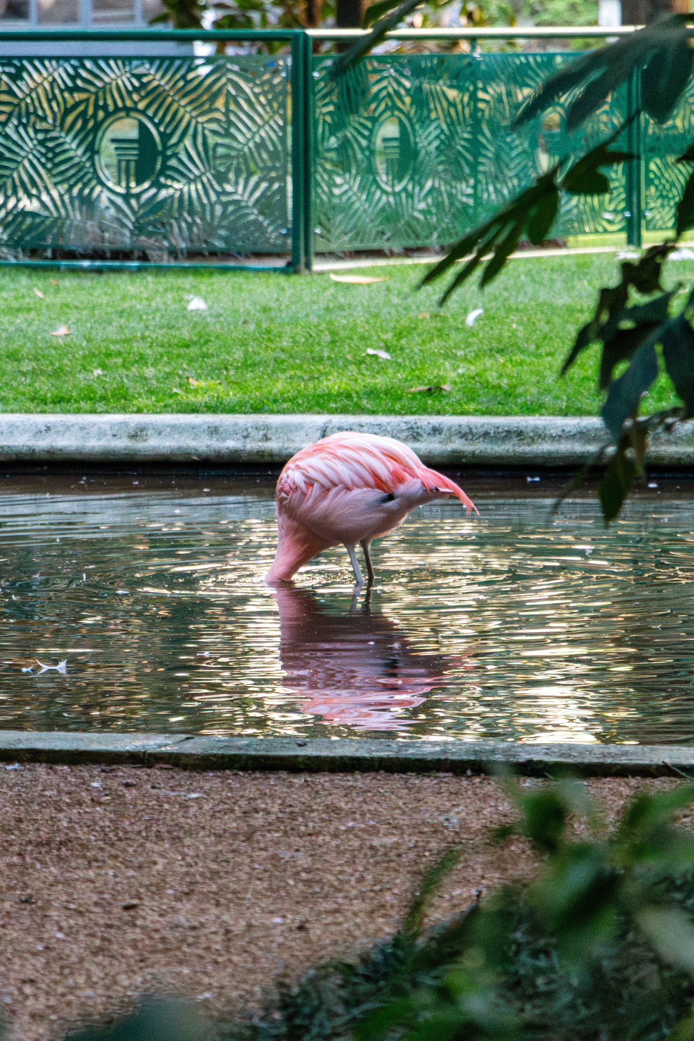 Italy 2026 WEB (279 of 311).jpg