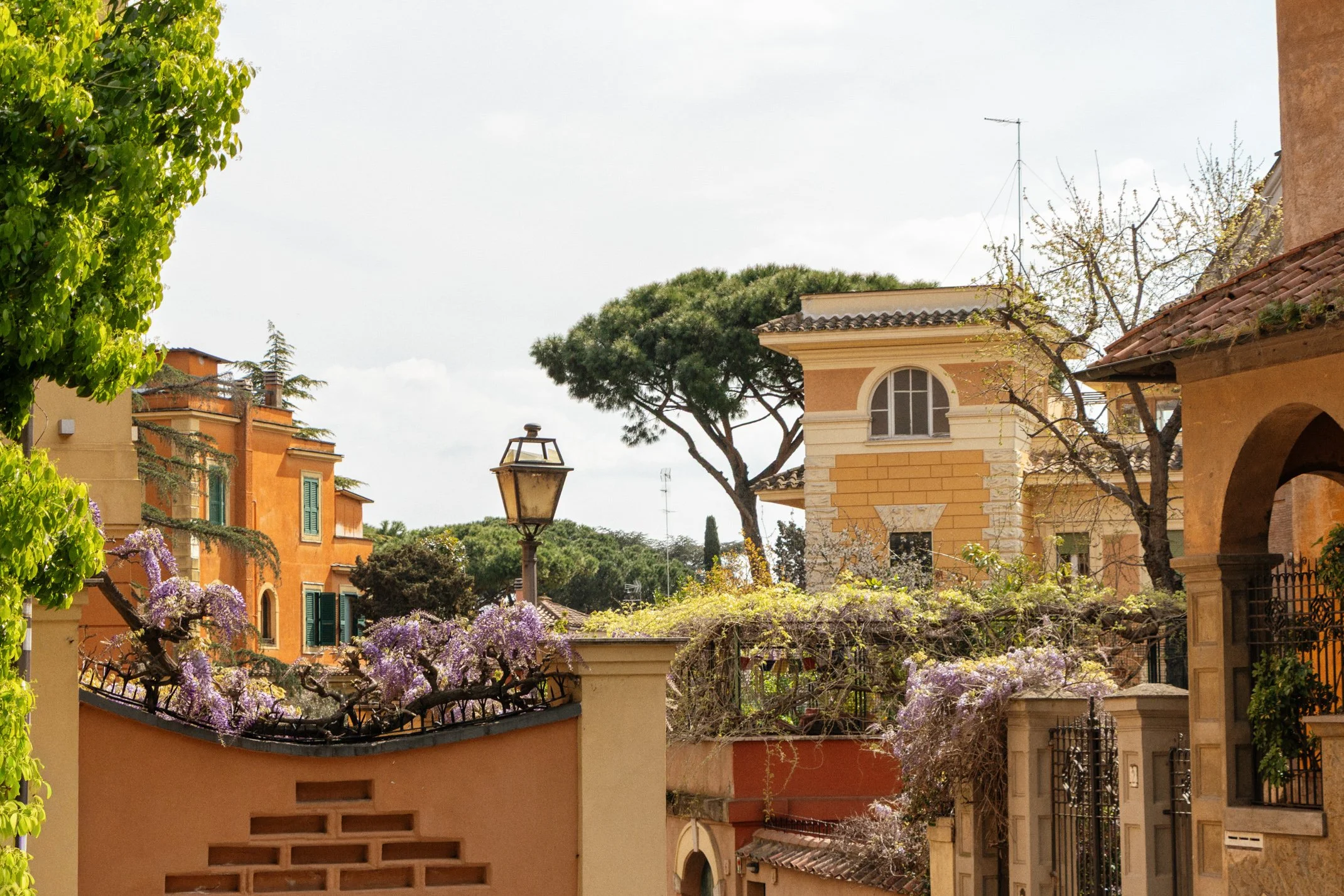 Italy 2026 WEB (196 of 311).jpg