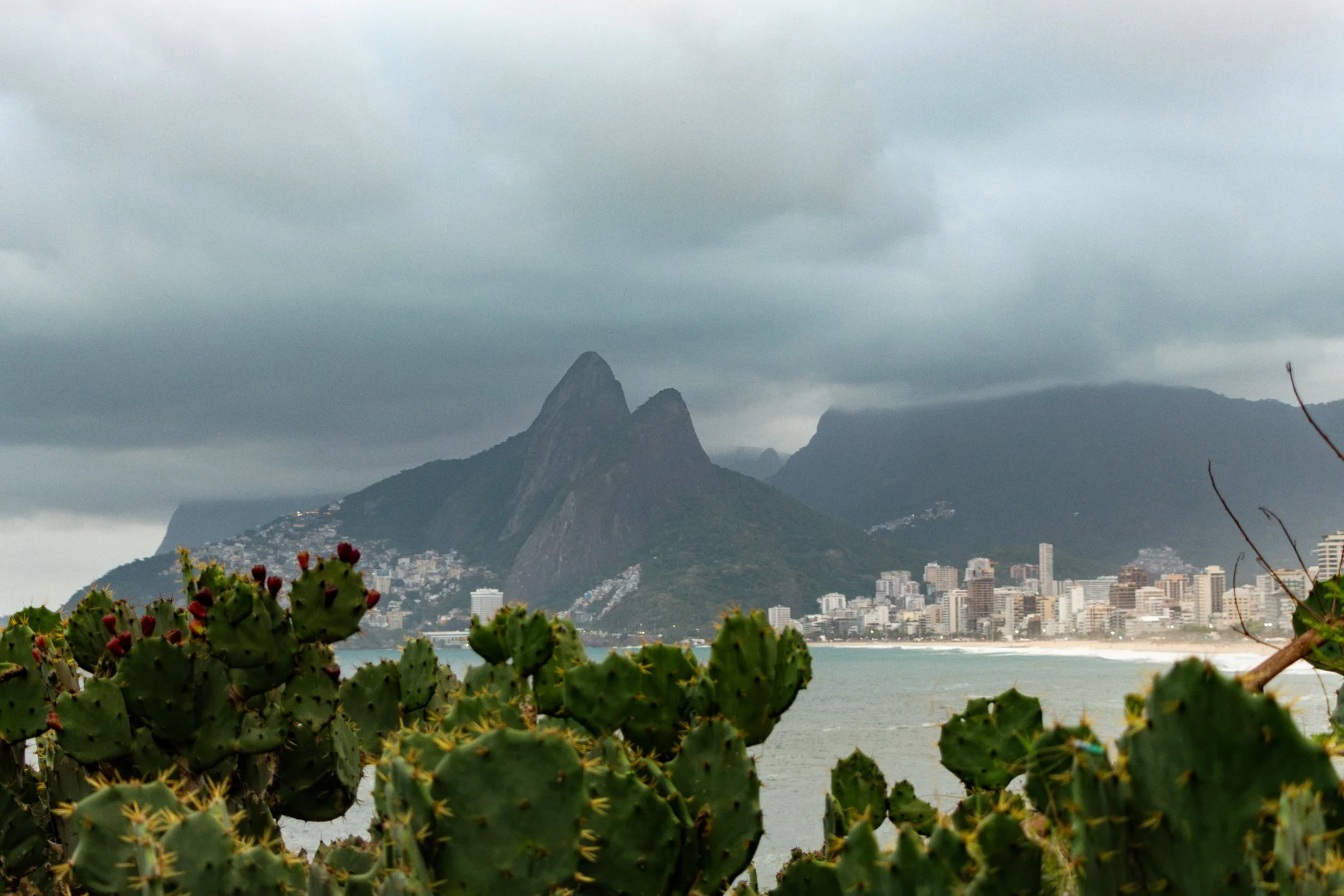 Brazil 2026 Edited WEB (121 of 125).jpg