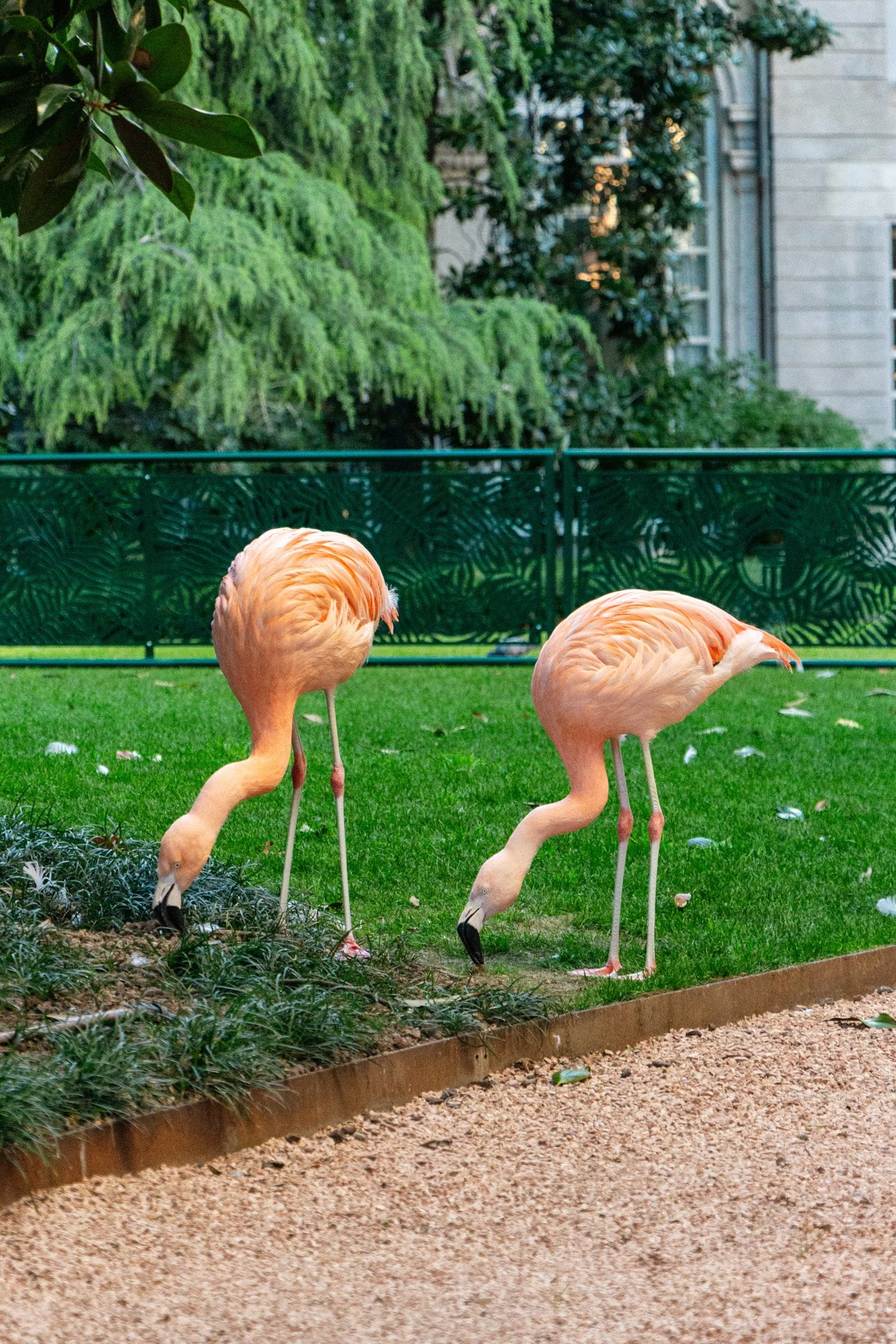 Italy 2026 WEB (277 of 311).jpg