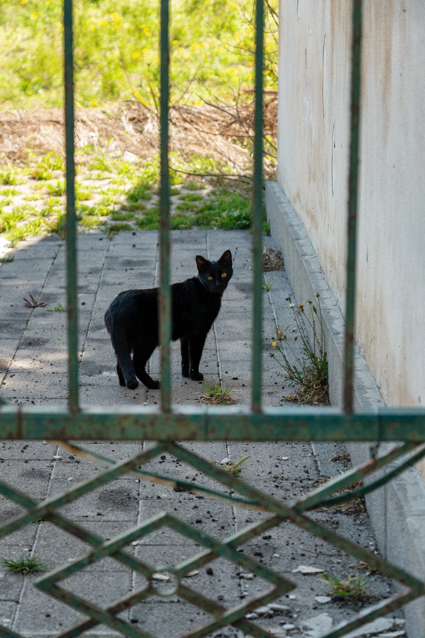 Italy 2026 WEB (139 of 311).jpg