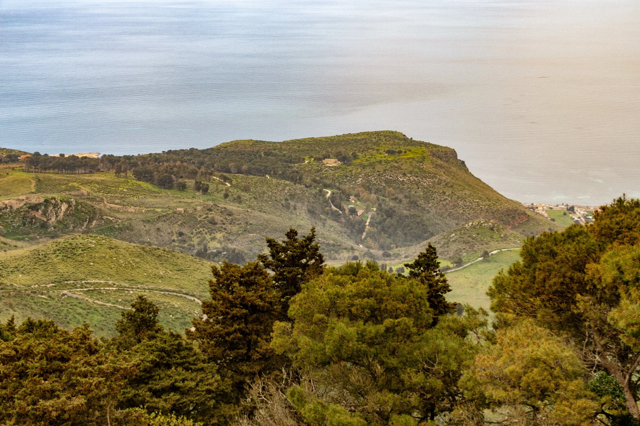 Italy 2026 WEB (065 of 311).jpg