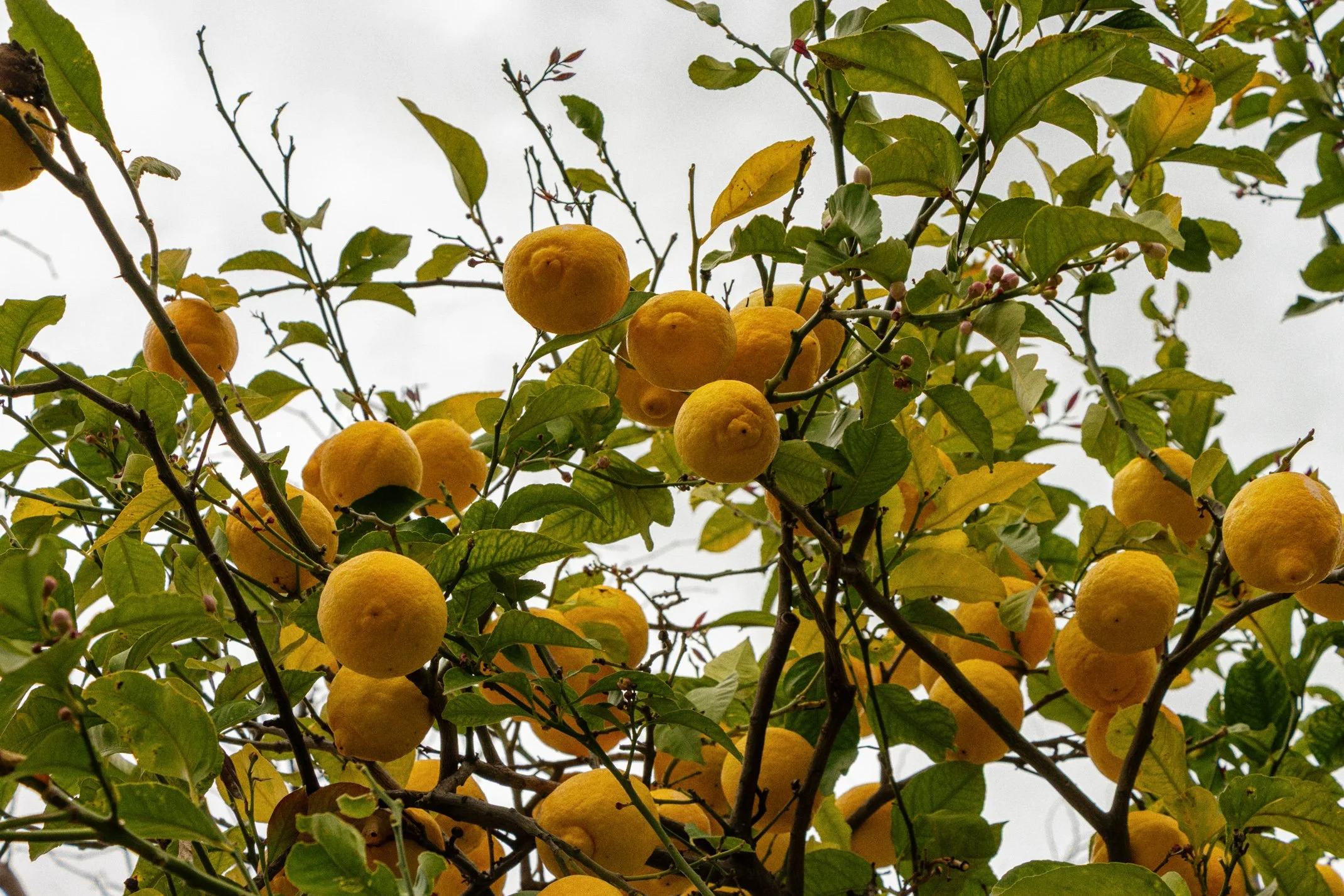 Italy 2026 WEB (161 of 311).jpg