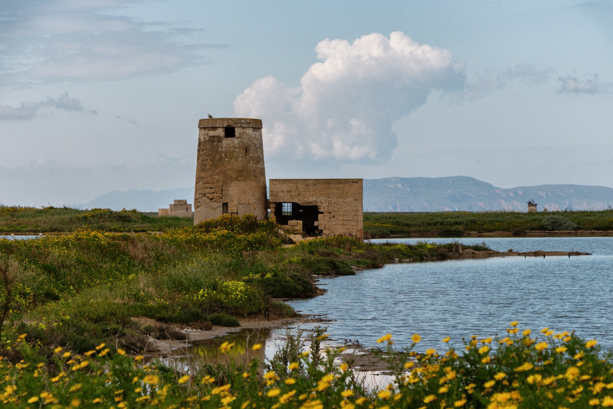 Italy 2026 WEB (058 of 311).jpg