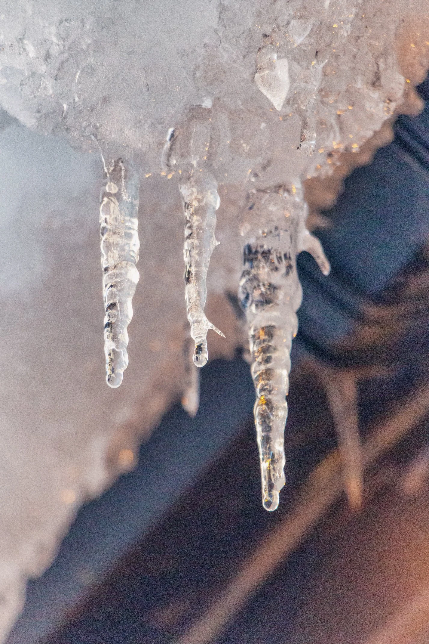 Iceland 2025 Edited WEB (014 of 068).jpg