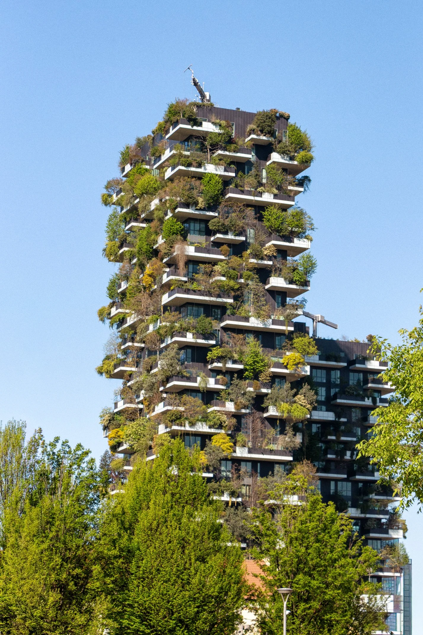 Italy 2026 WEB (260 of 311).jpg