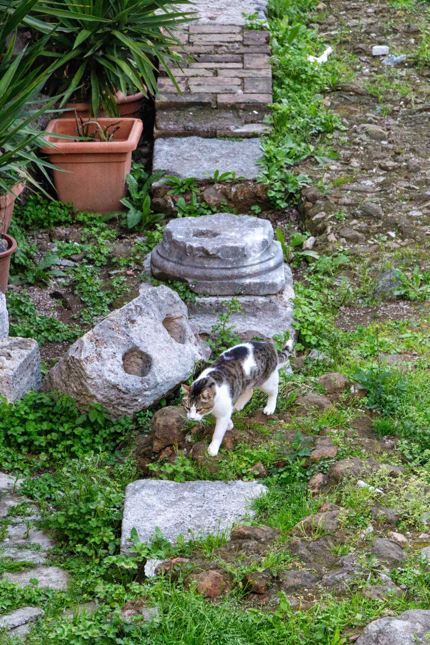 Italy 2026 WEB (189 of 311).jpg