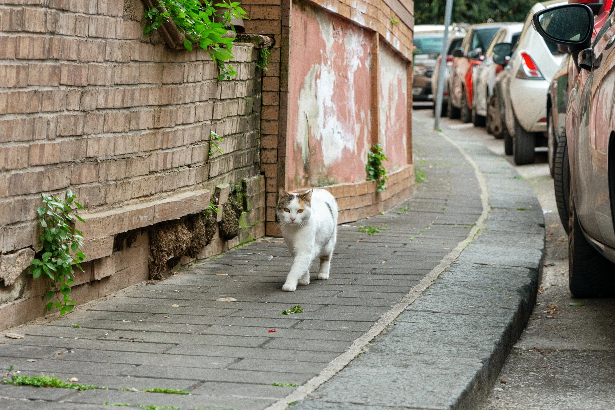 Italy 2026 WEB (155 of 311).jpg