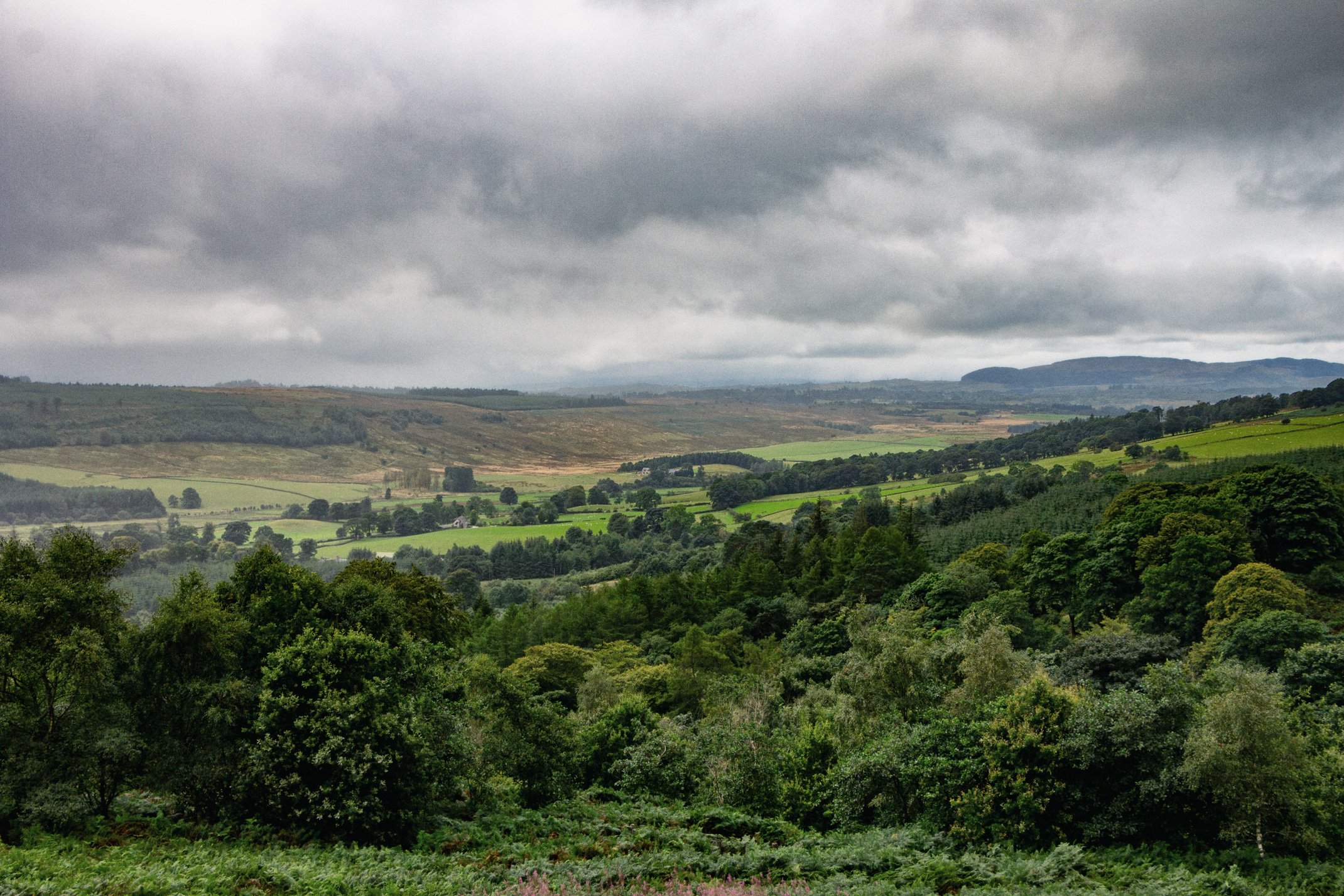 Lush green rolling hills and dense forests under a cloudy sky in a rural landscape